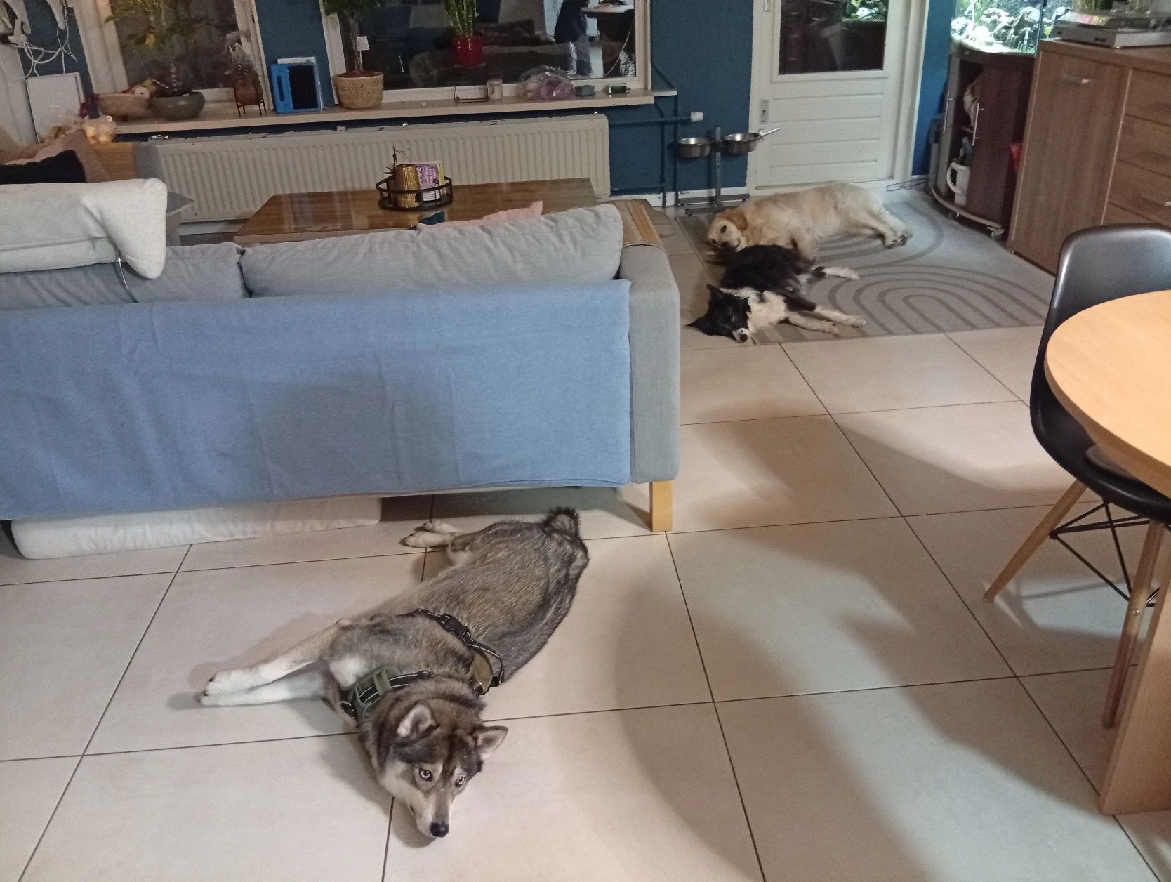 image-12
