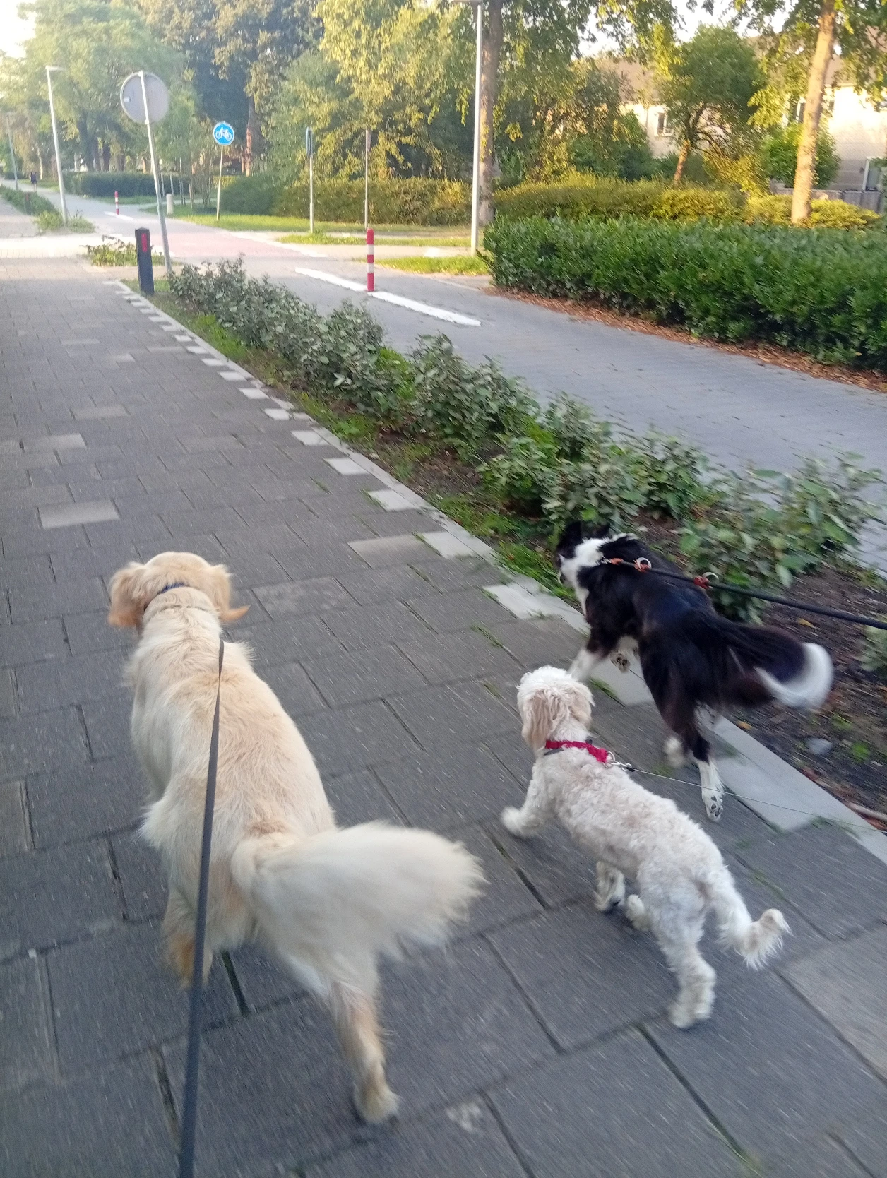 image-5