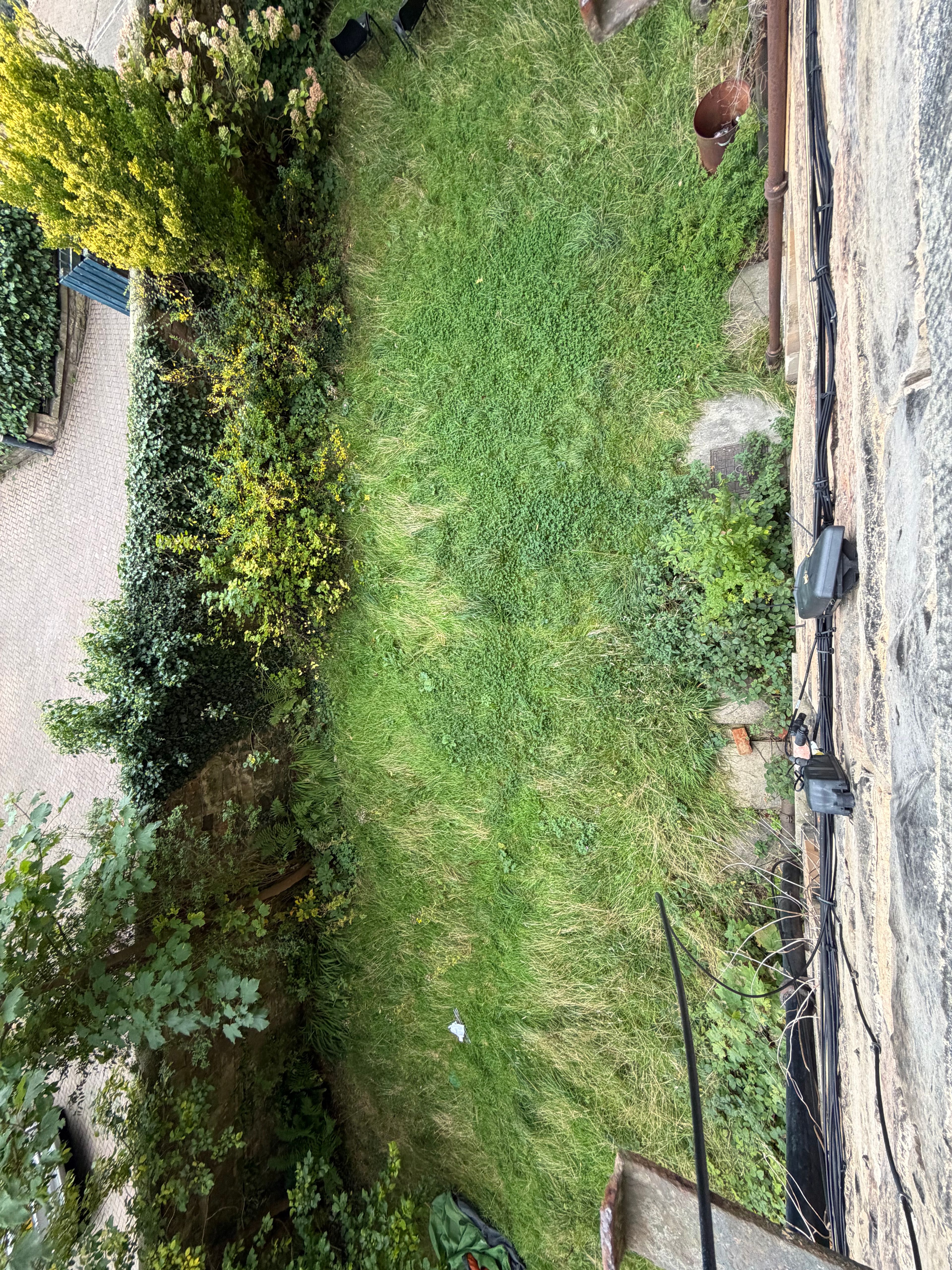 image-18