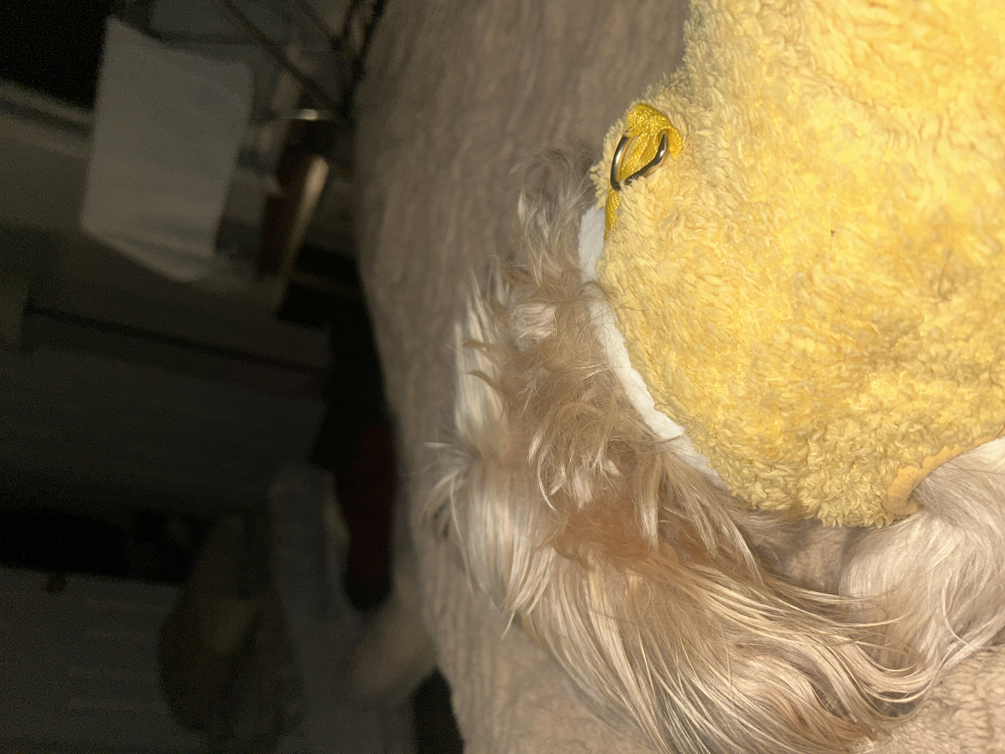 image-6