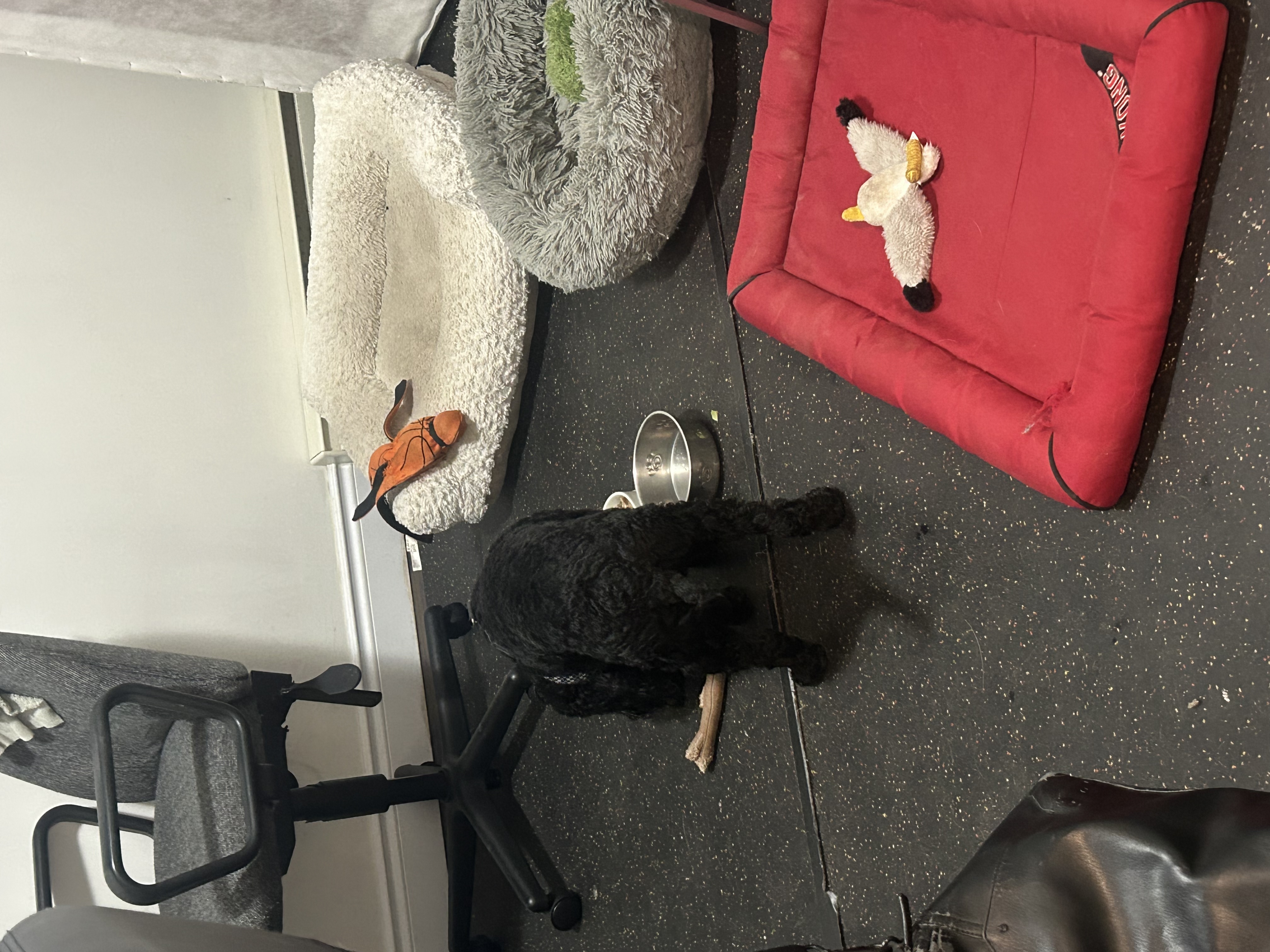 image-7