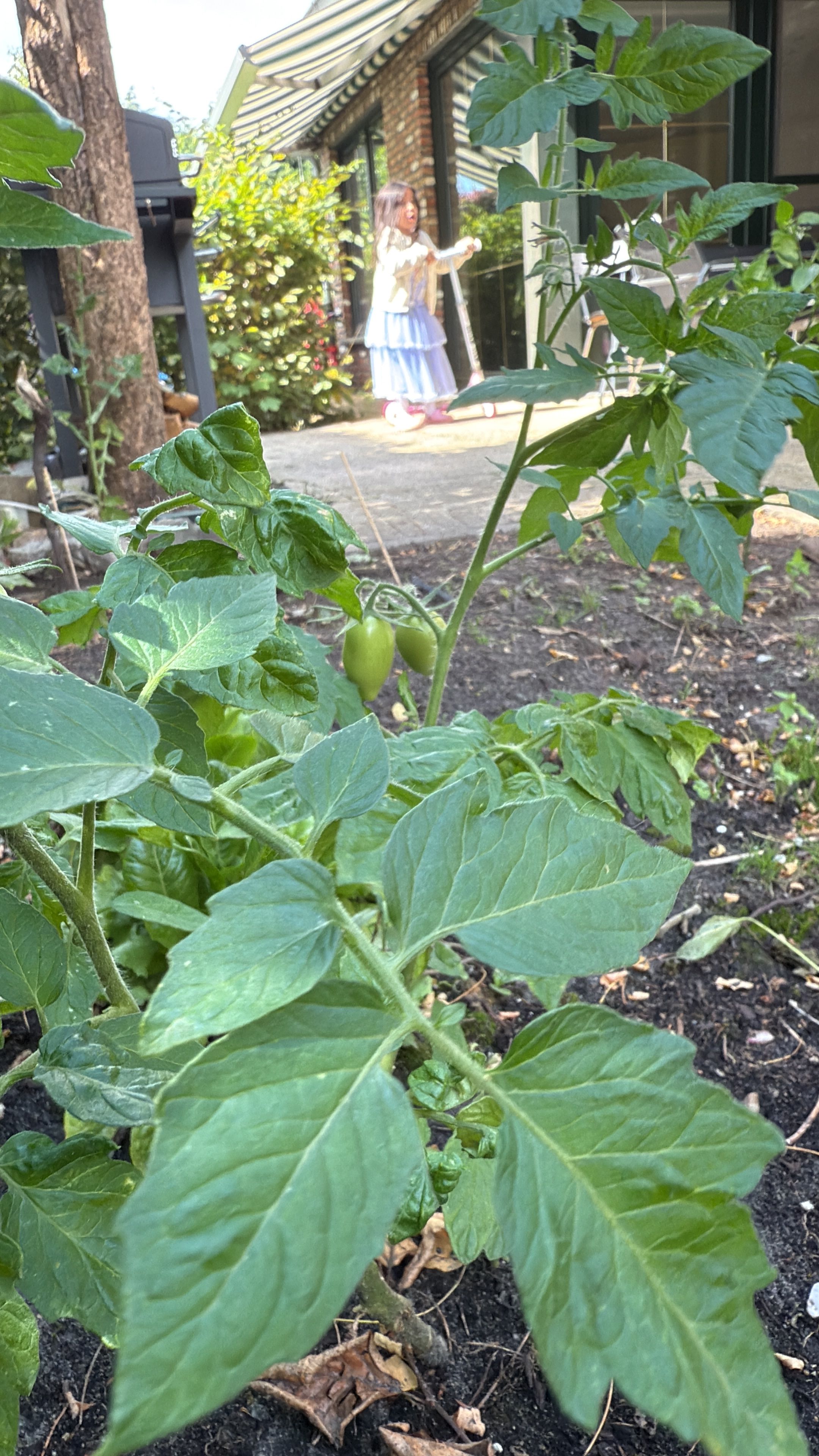 image-13