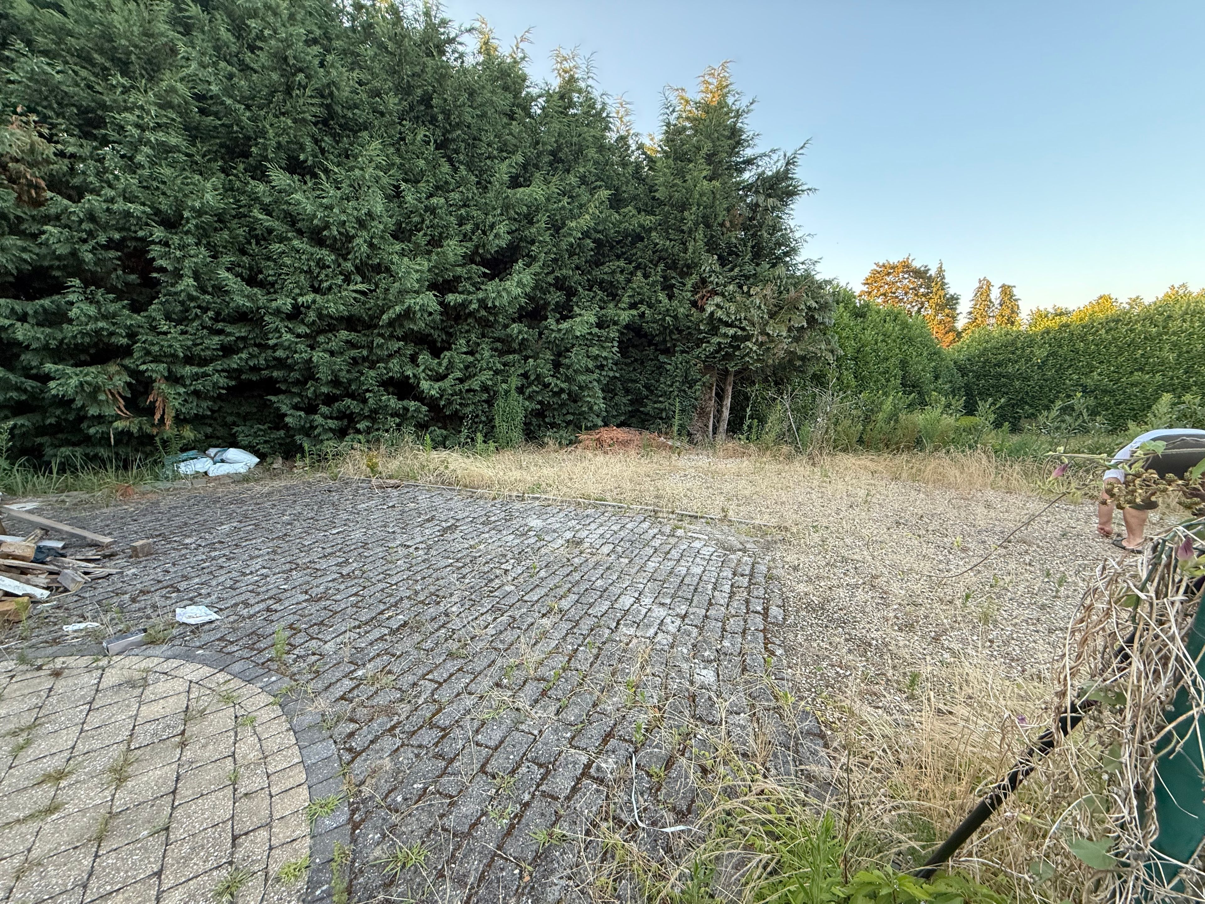 image-14