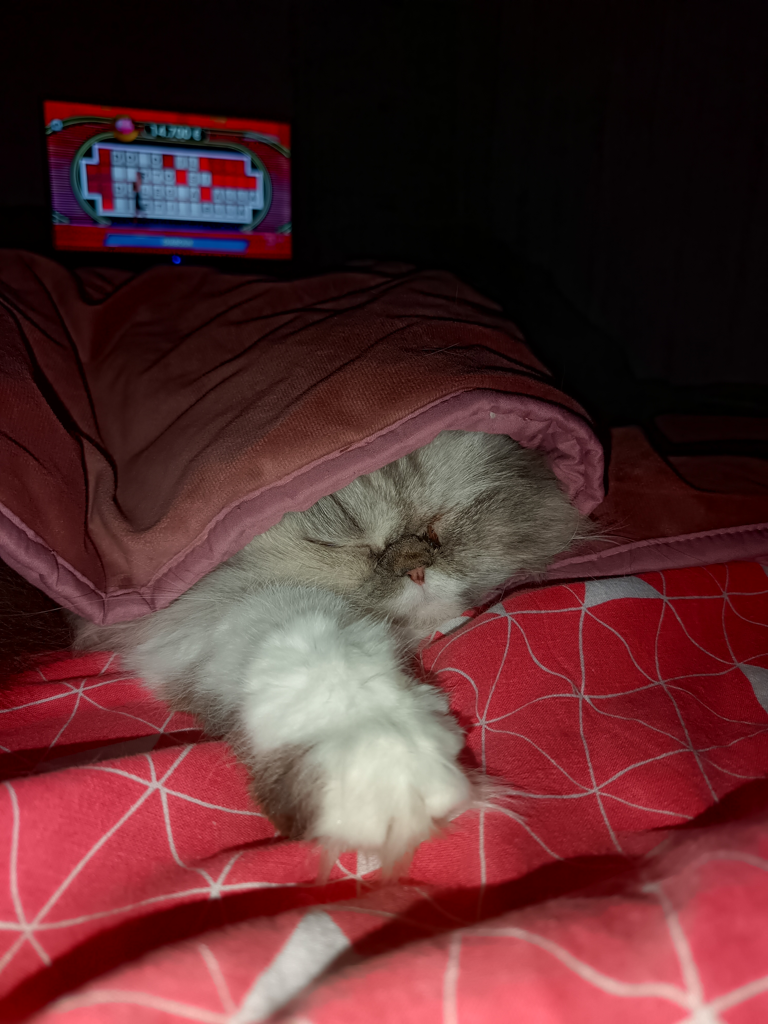 image-8