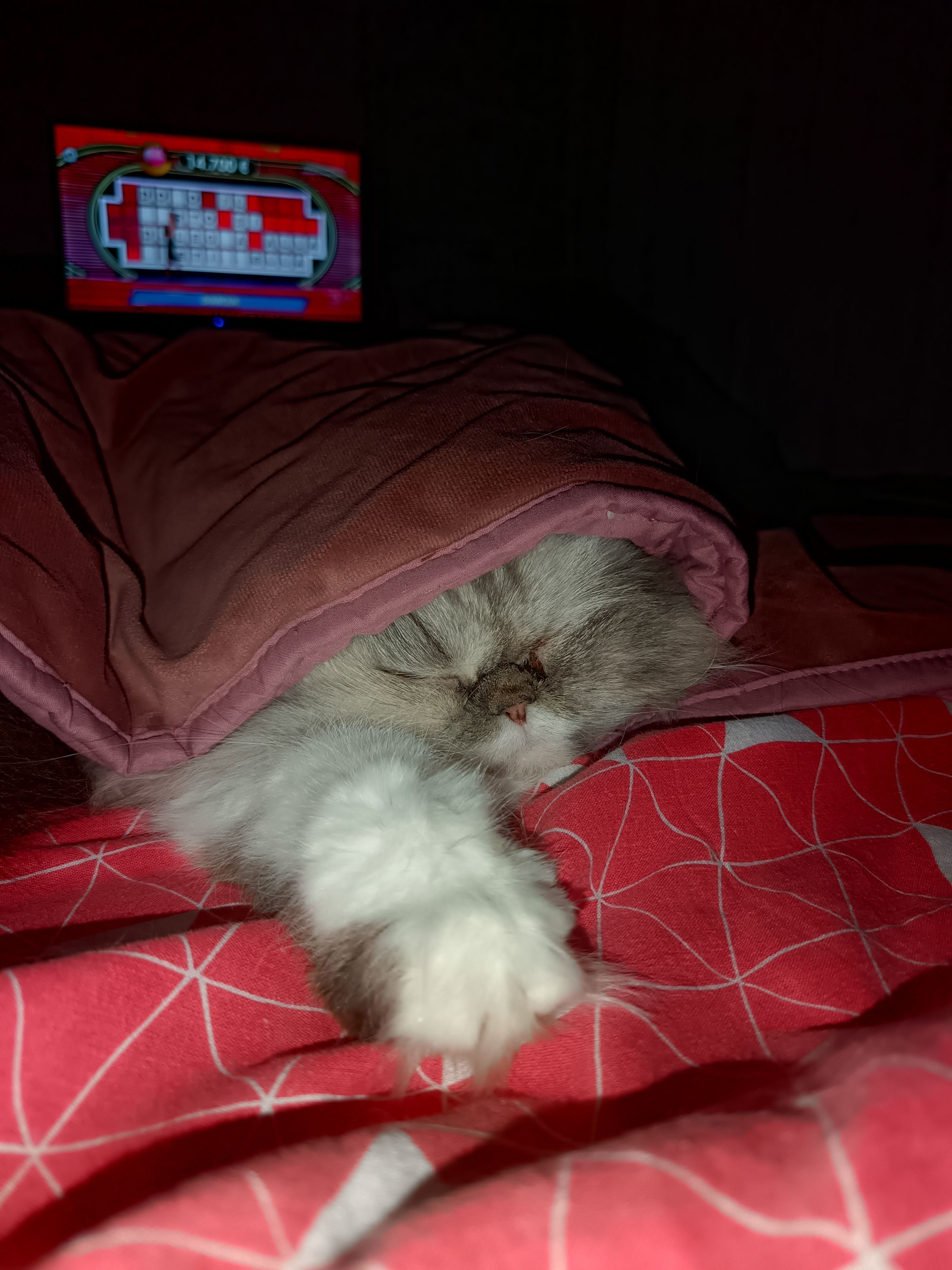 image-8