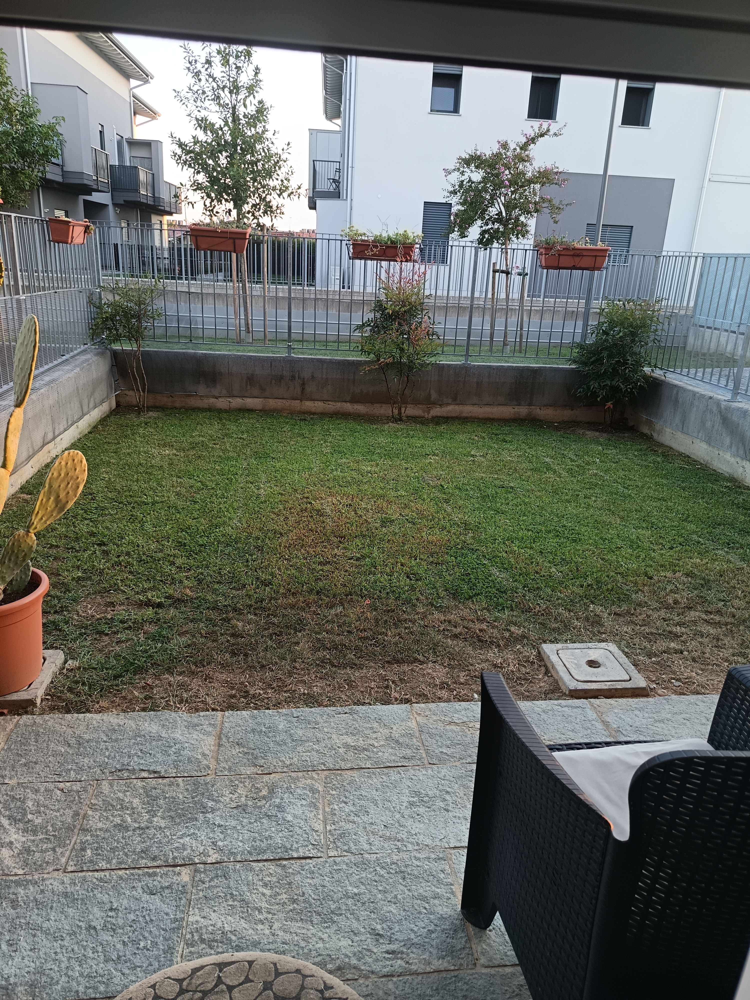 image-18