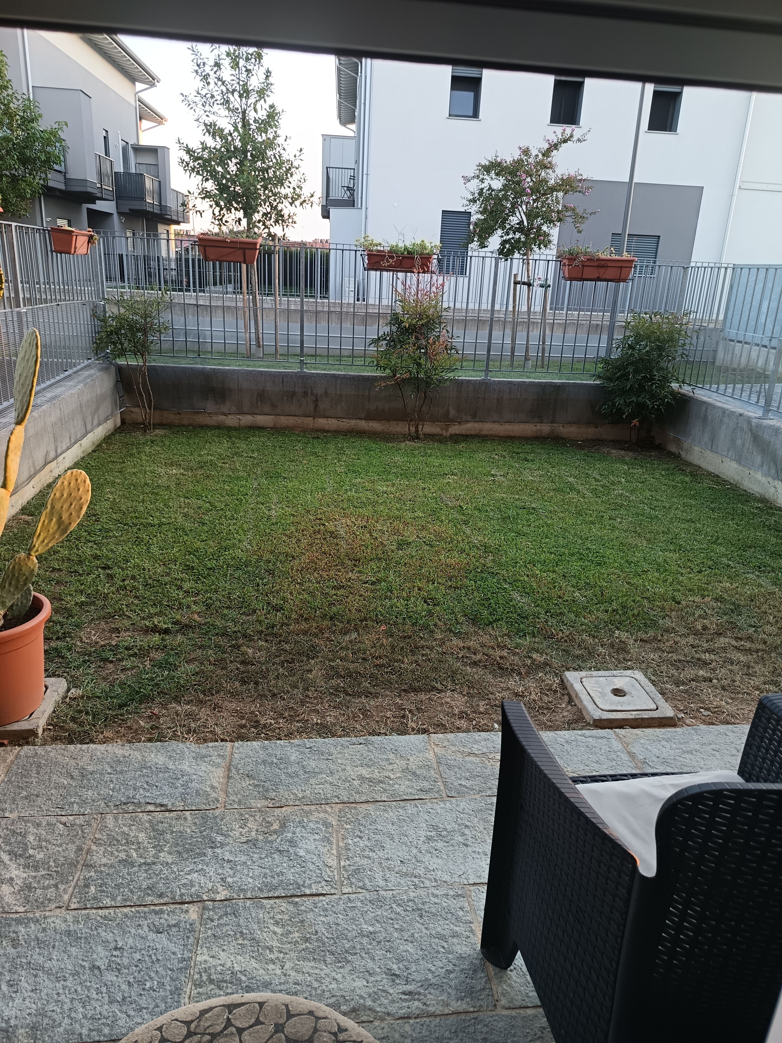 image-18