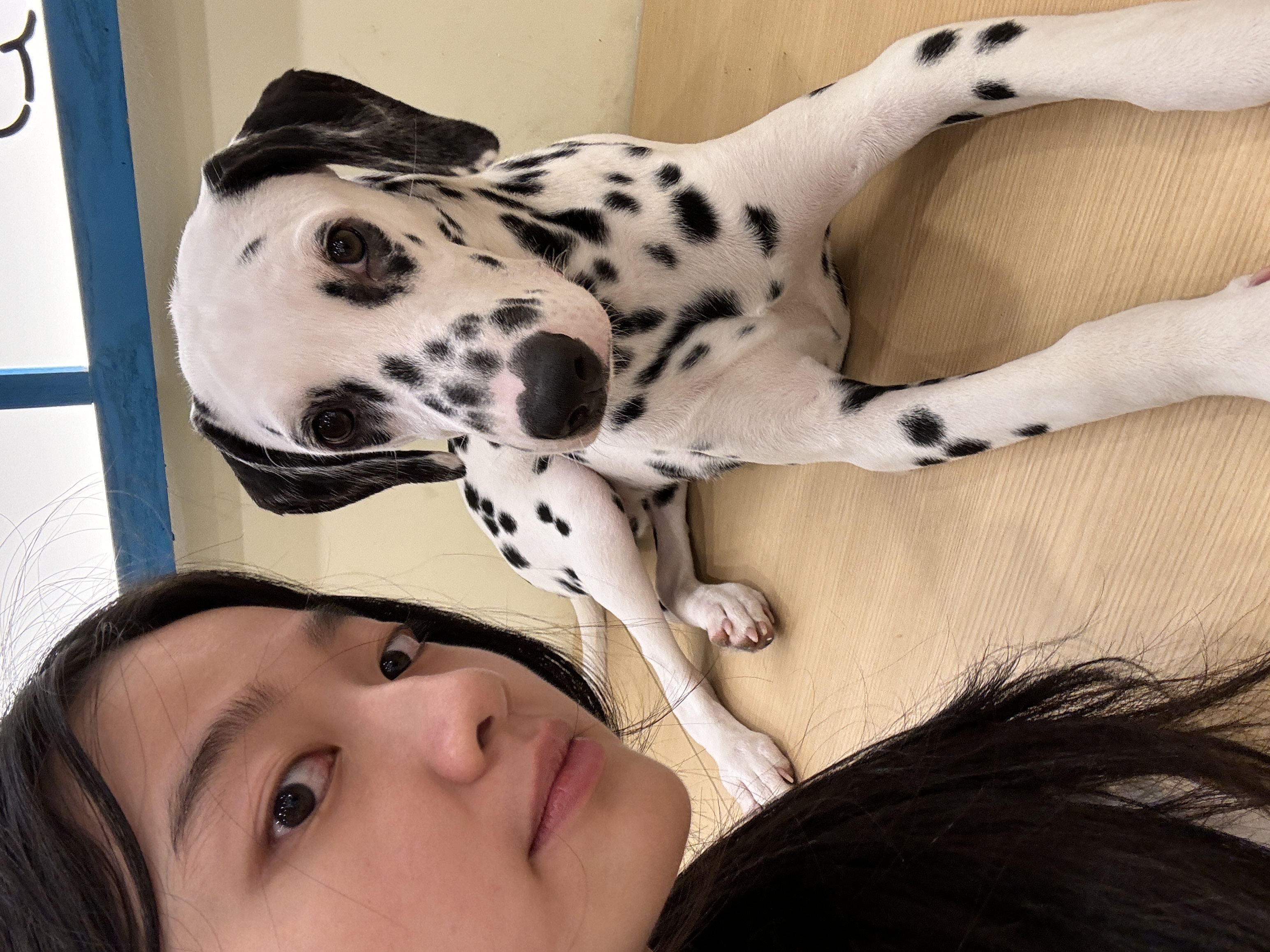 image-9
