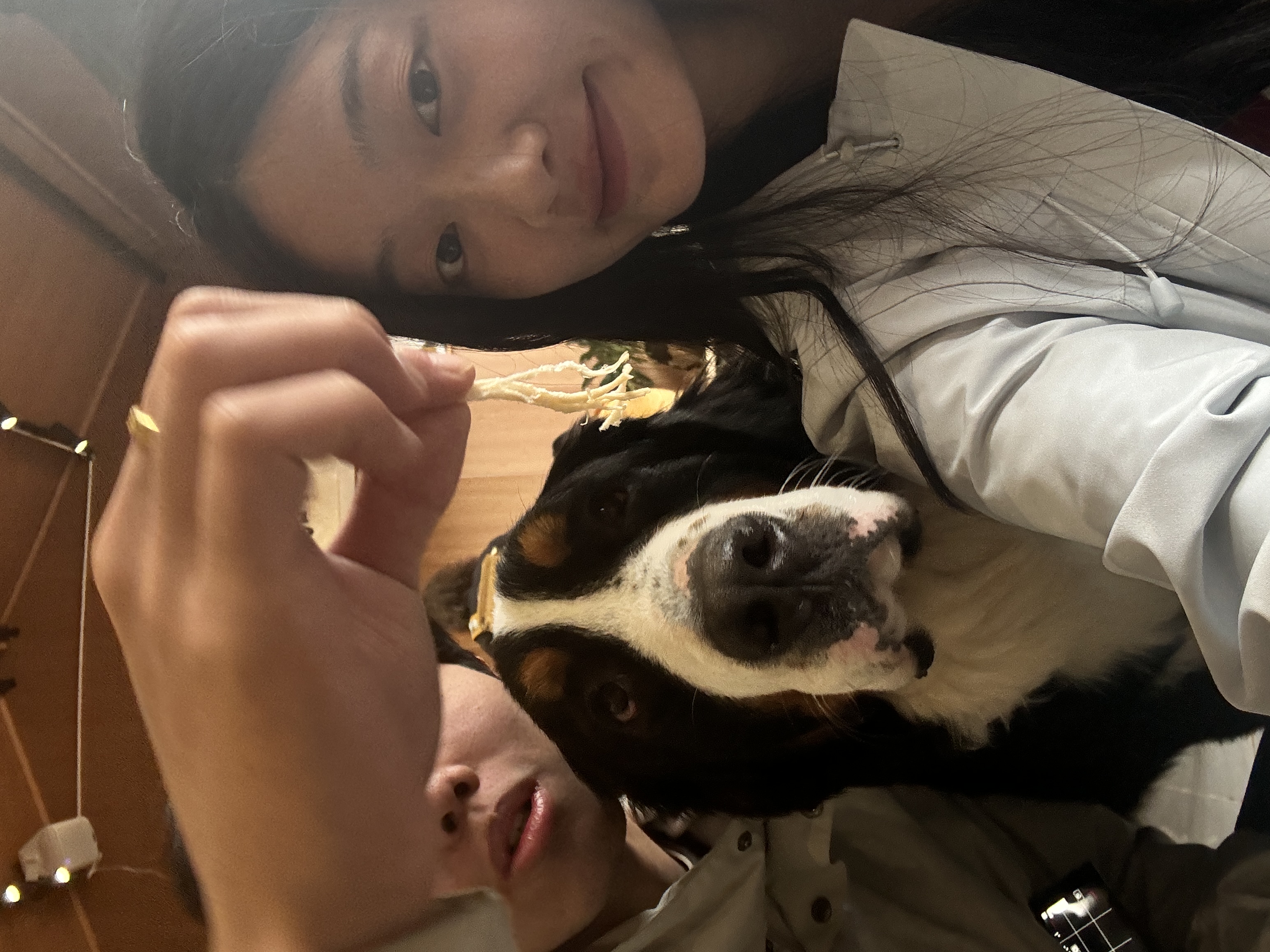 image-7