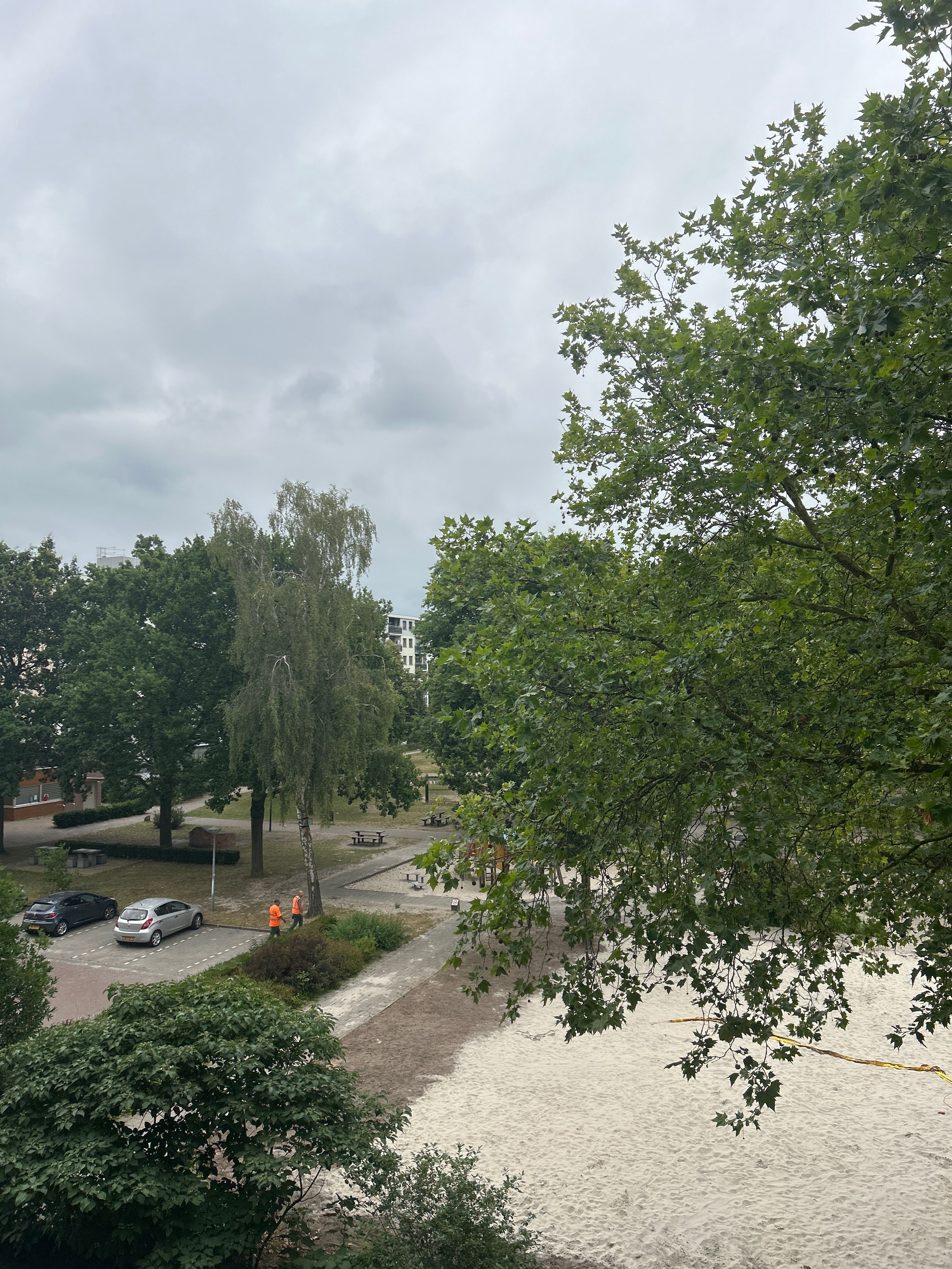image-11