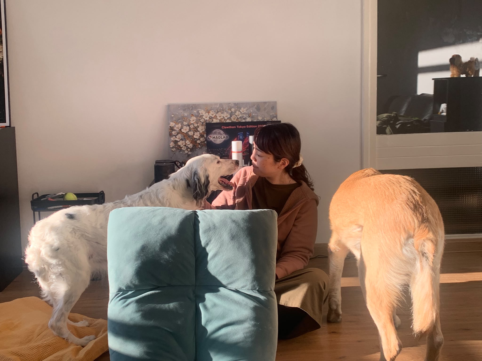 image-14