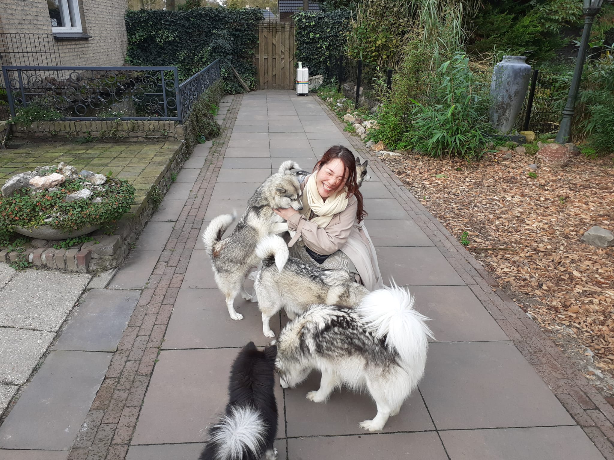 image-5