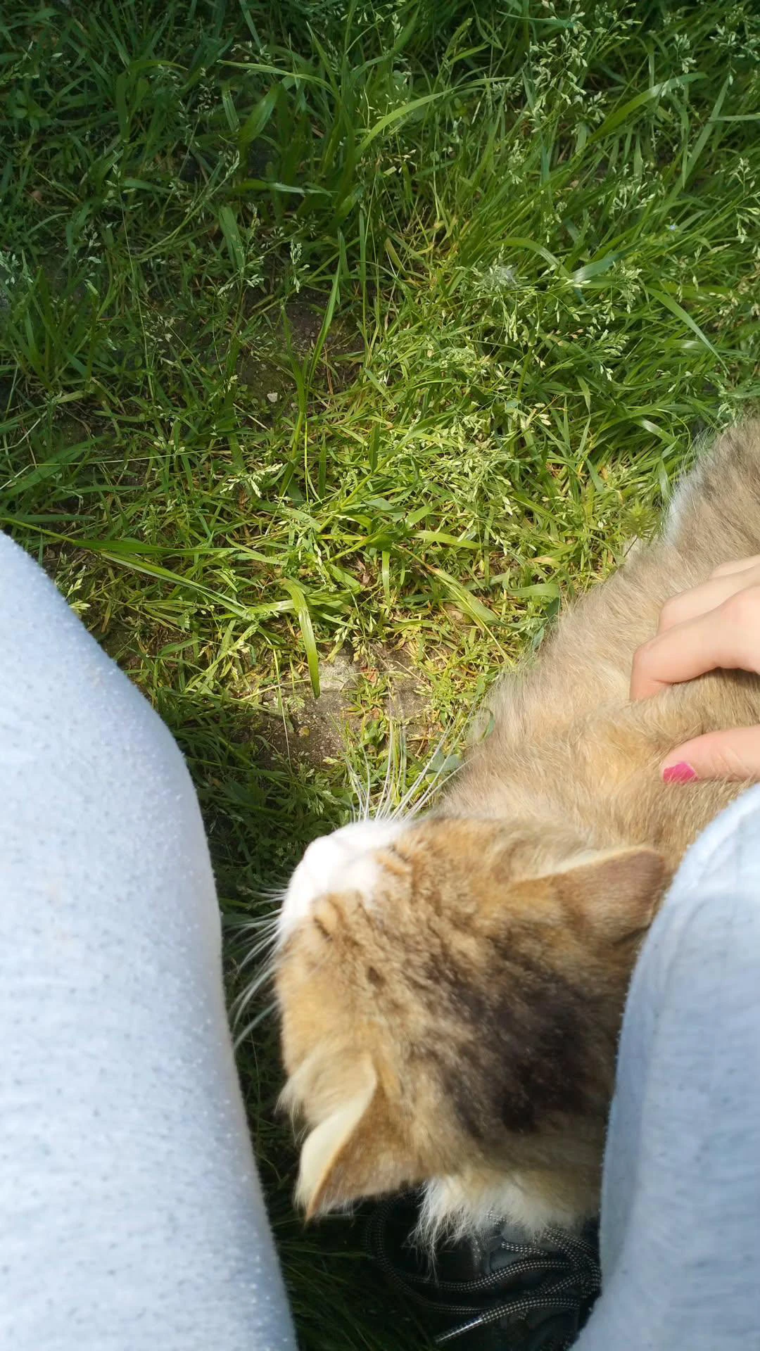 image-8