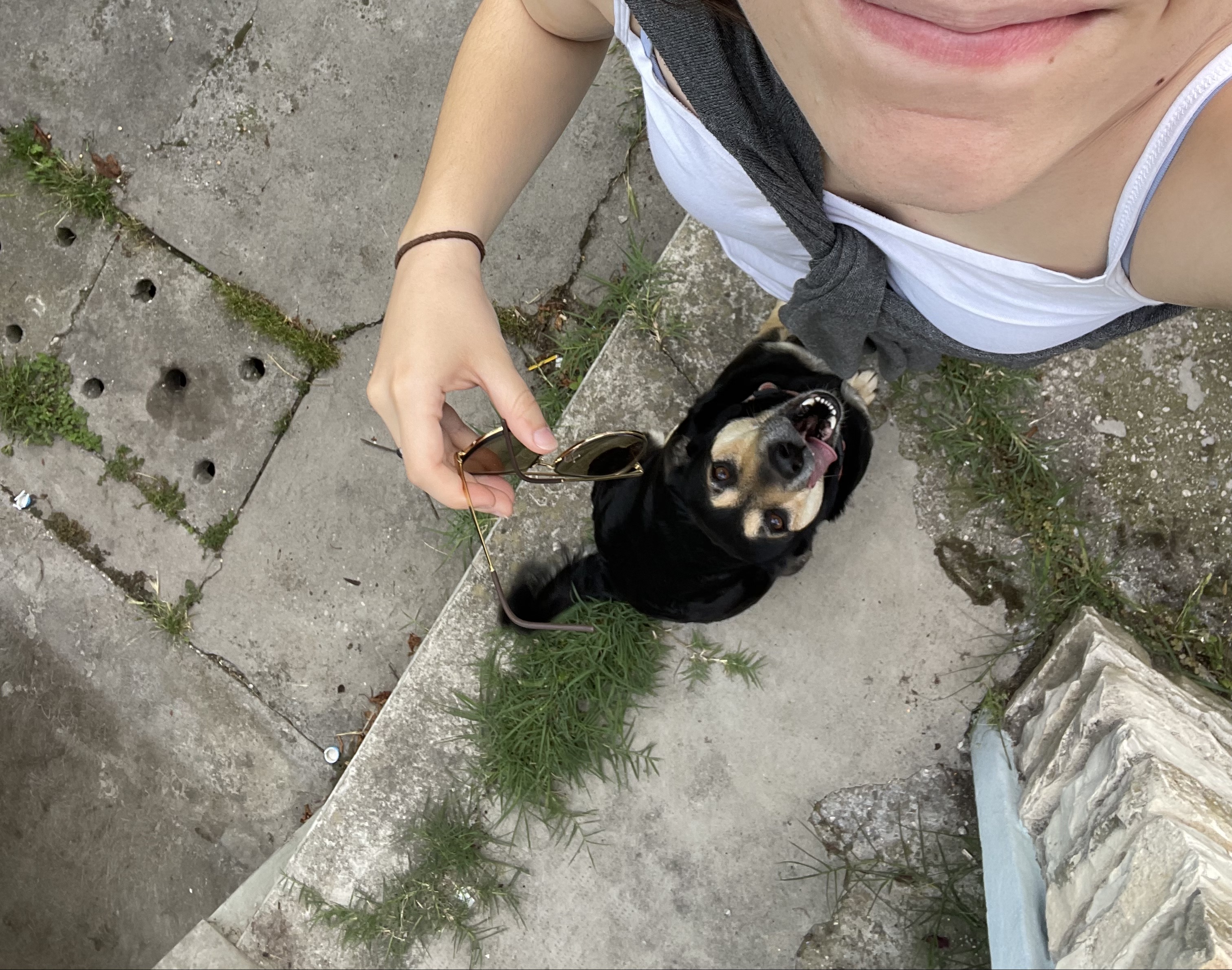 image-9