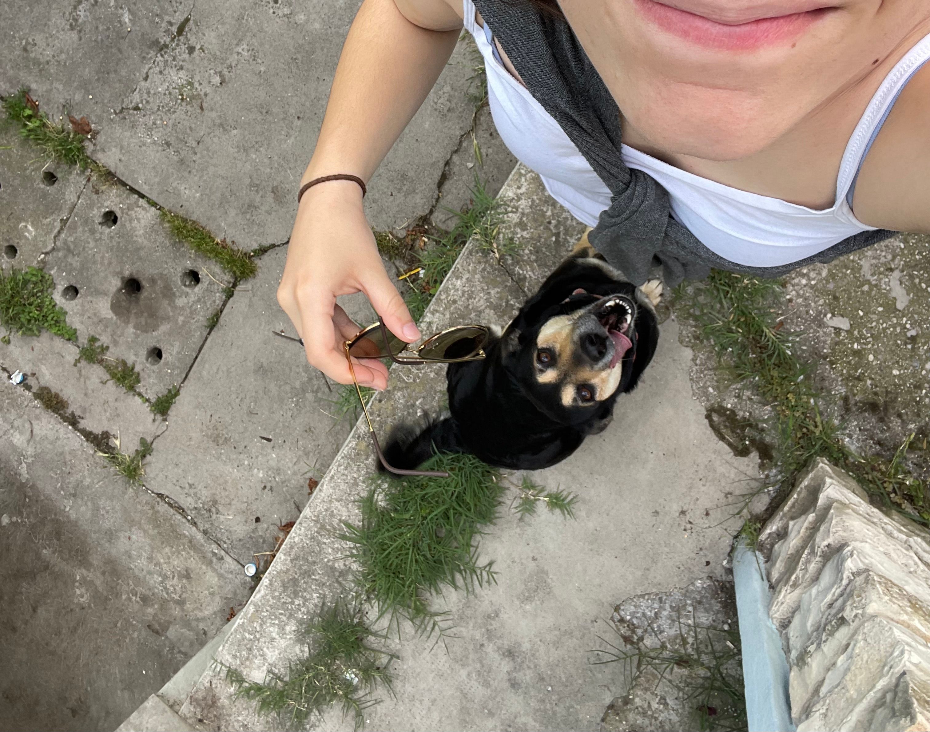 image-9