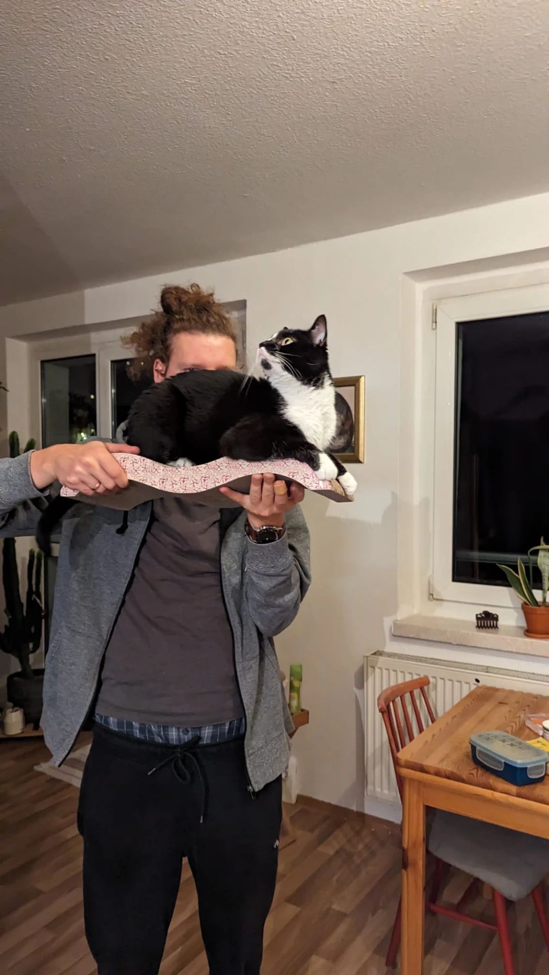 image-6