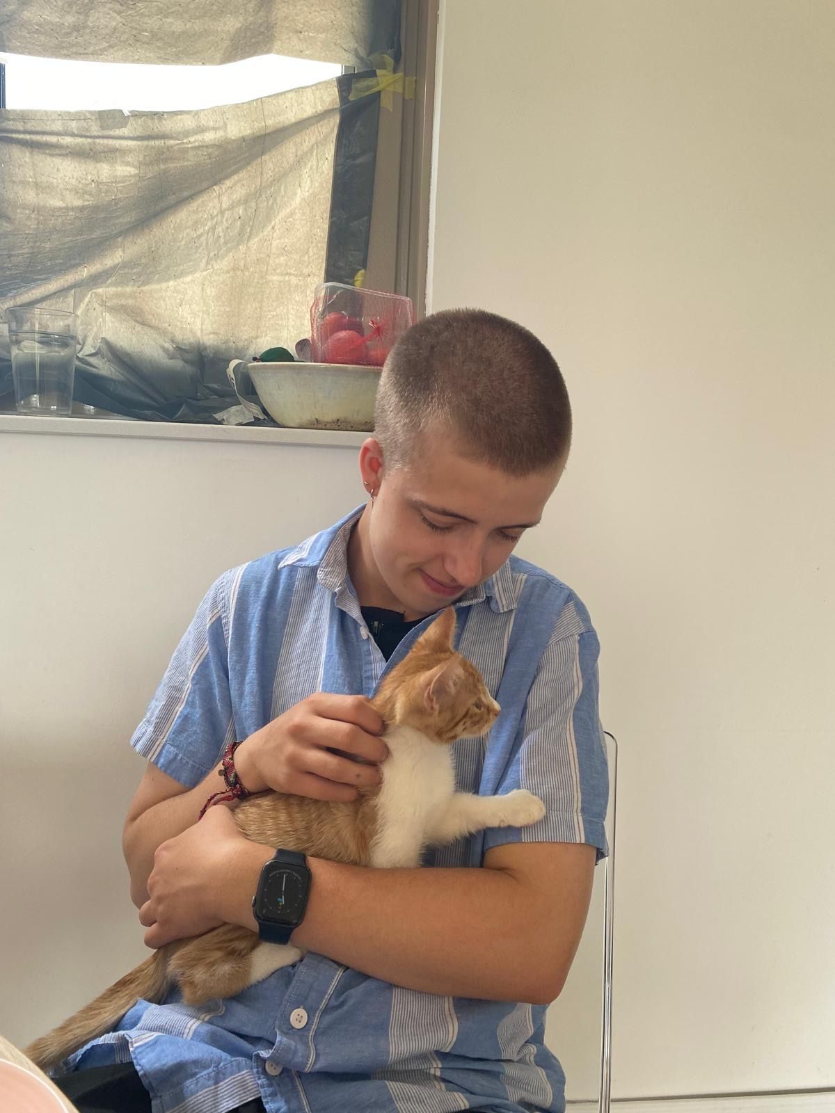 image-8