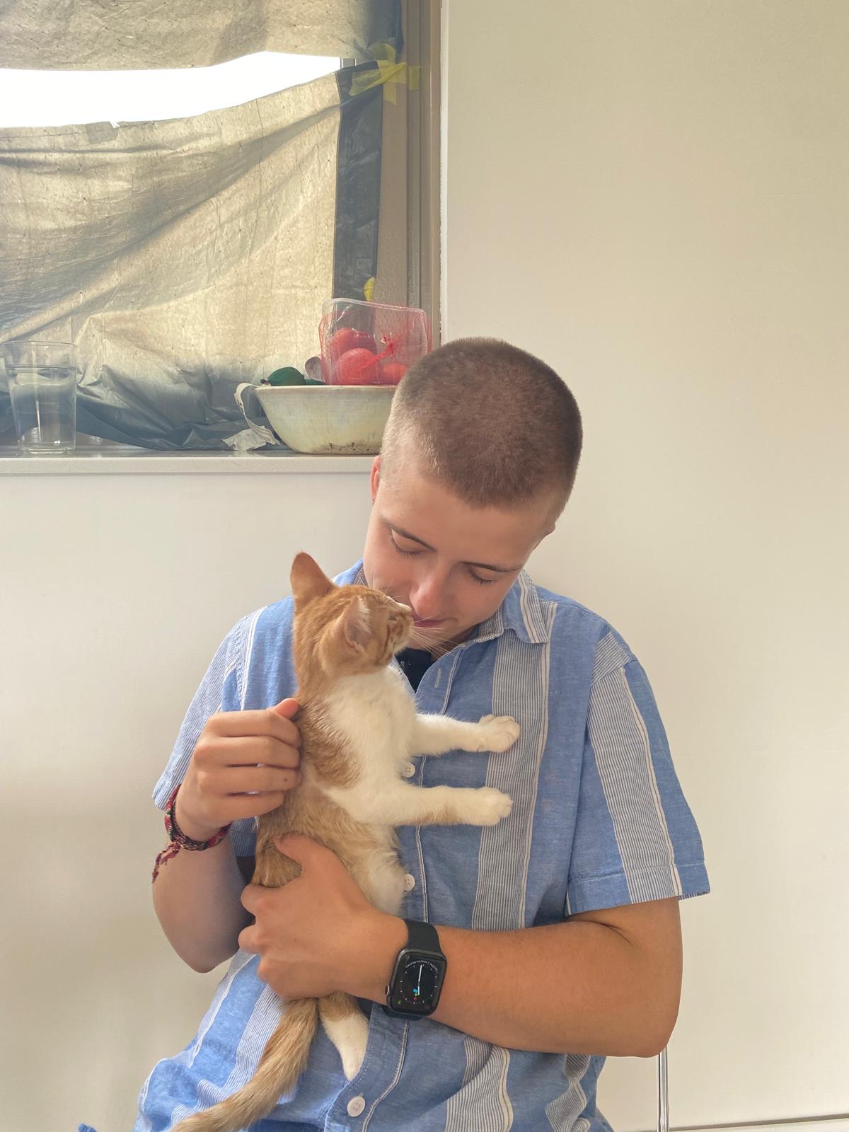 image-6