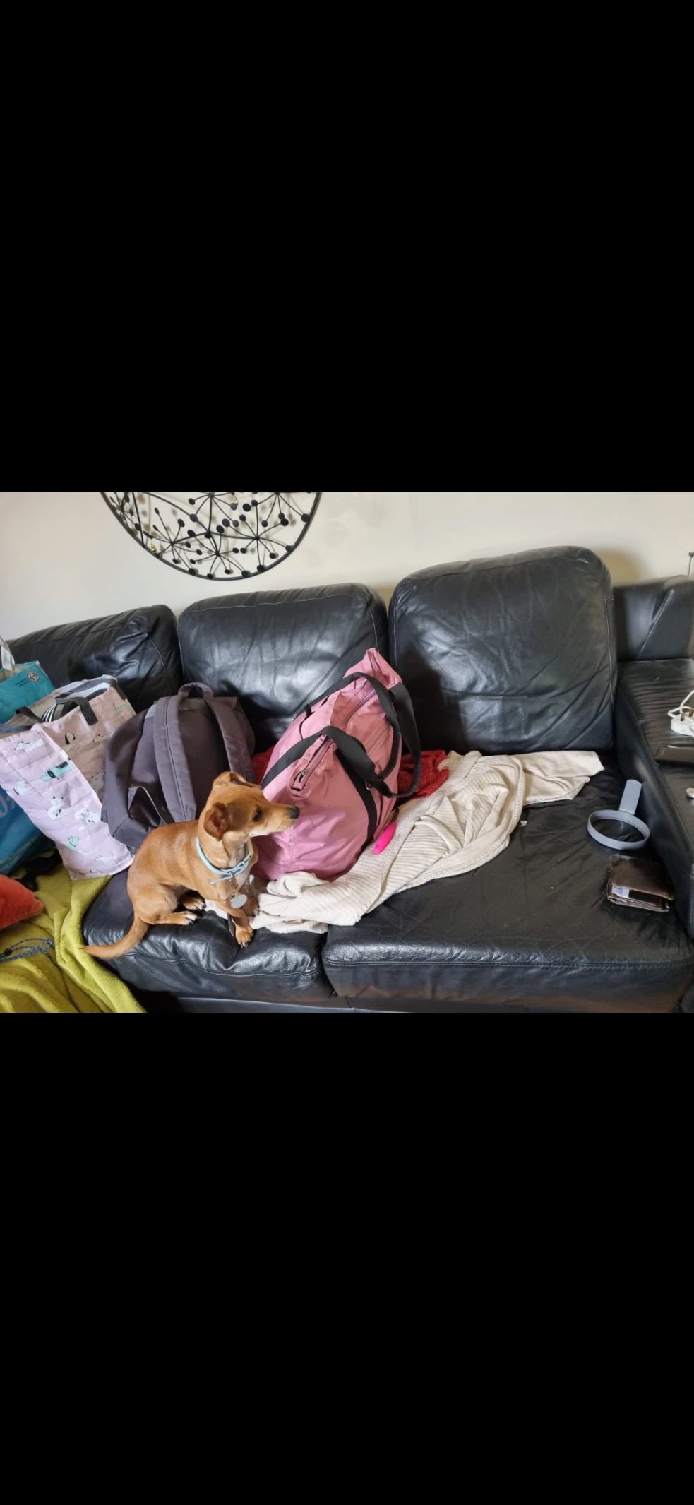 image-13