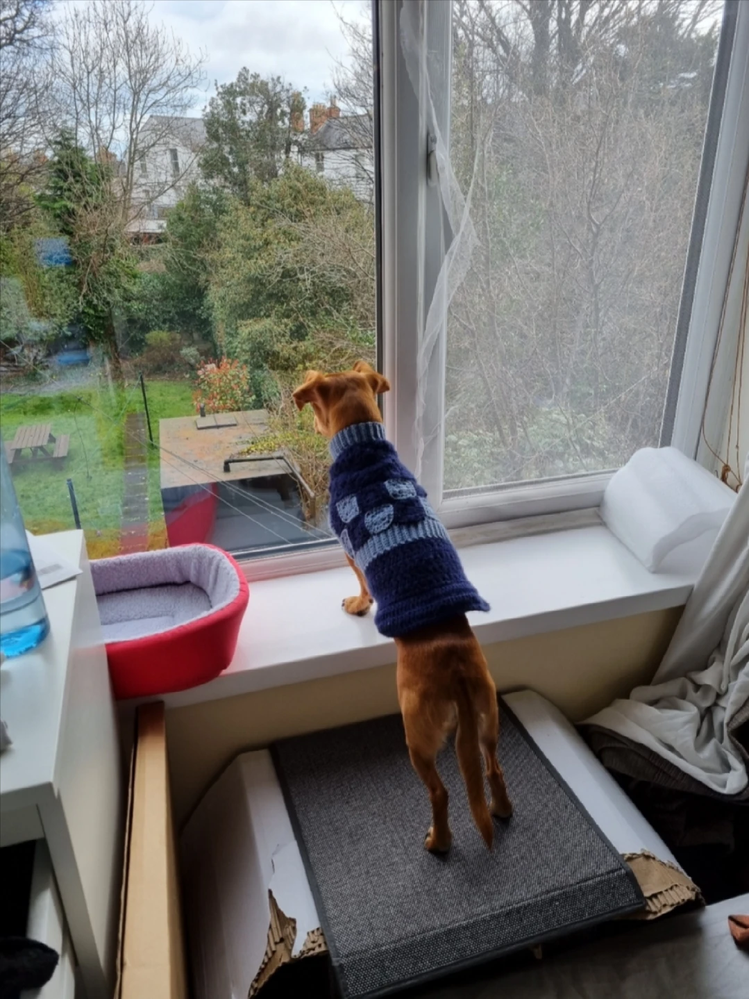 image-14