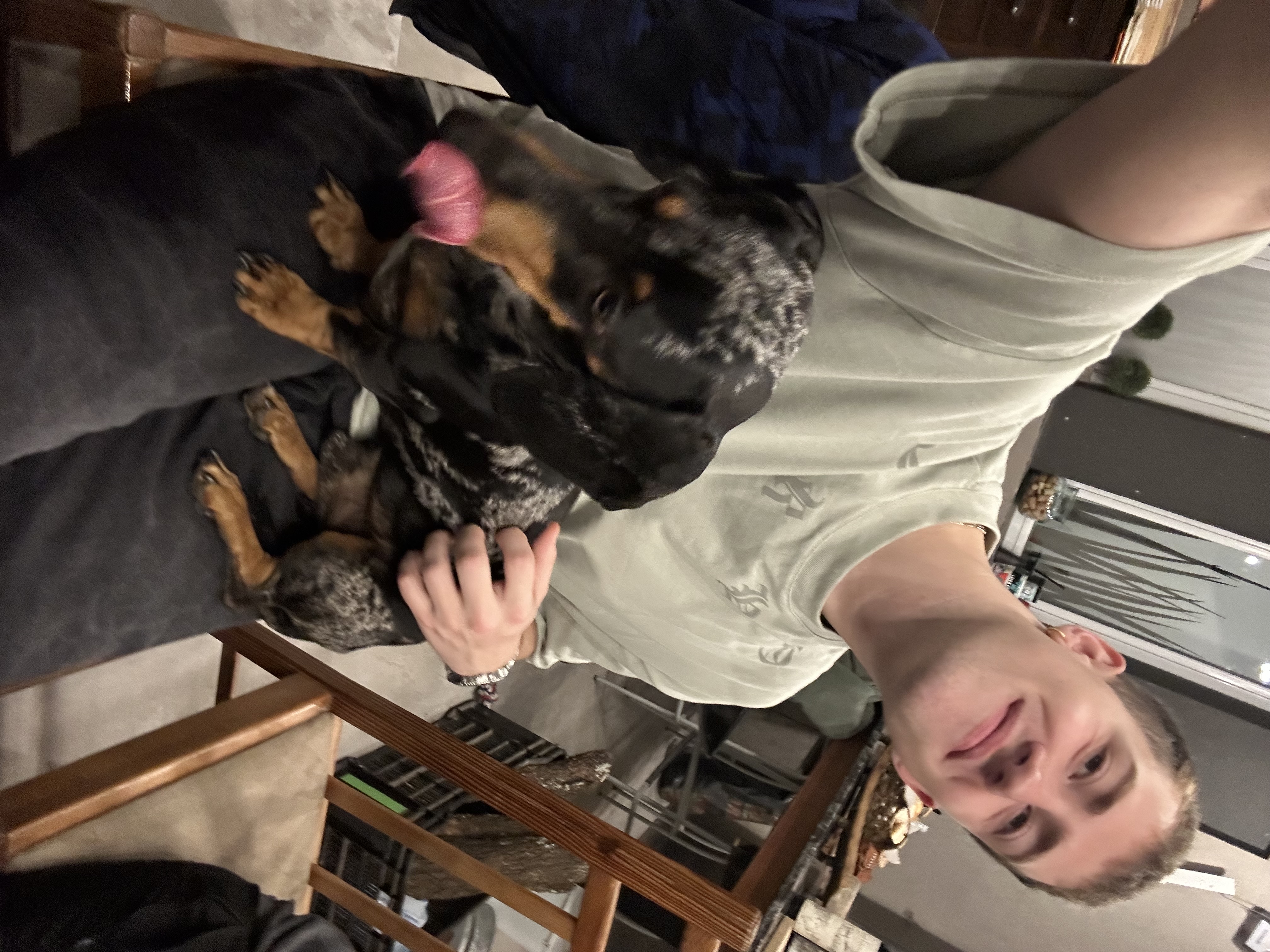 image-11
