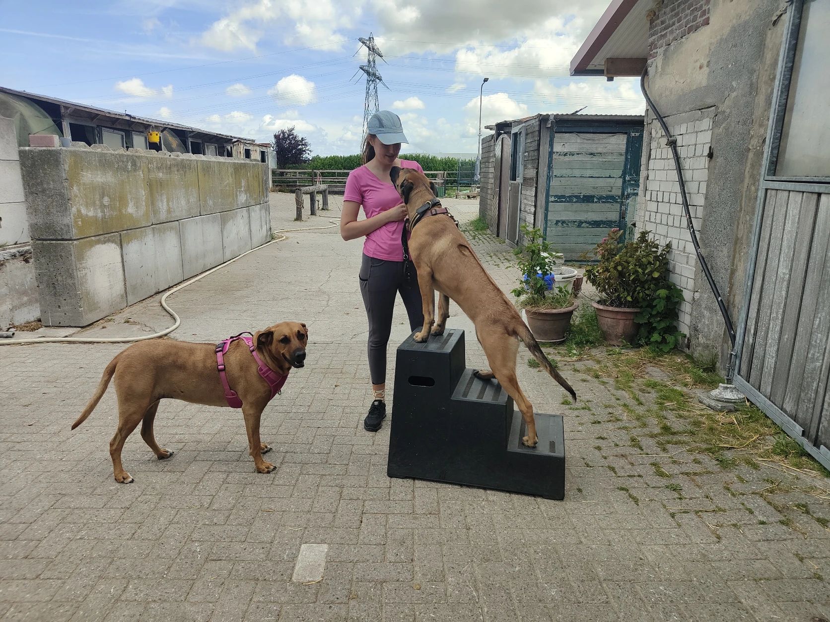image-5
