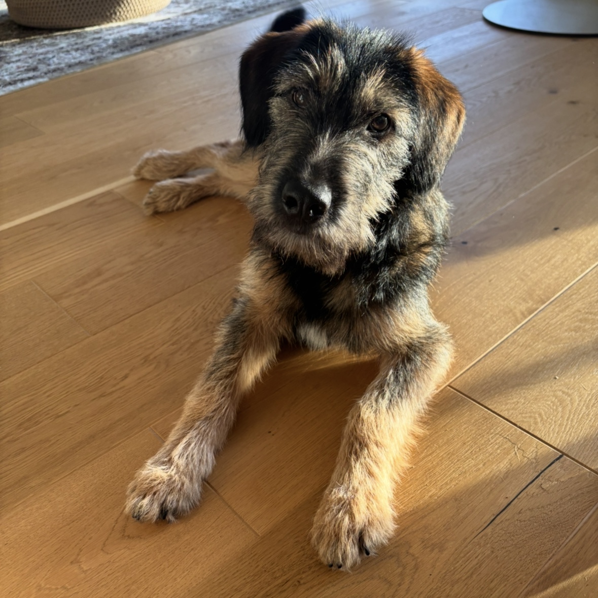 Ella 