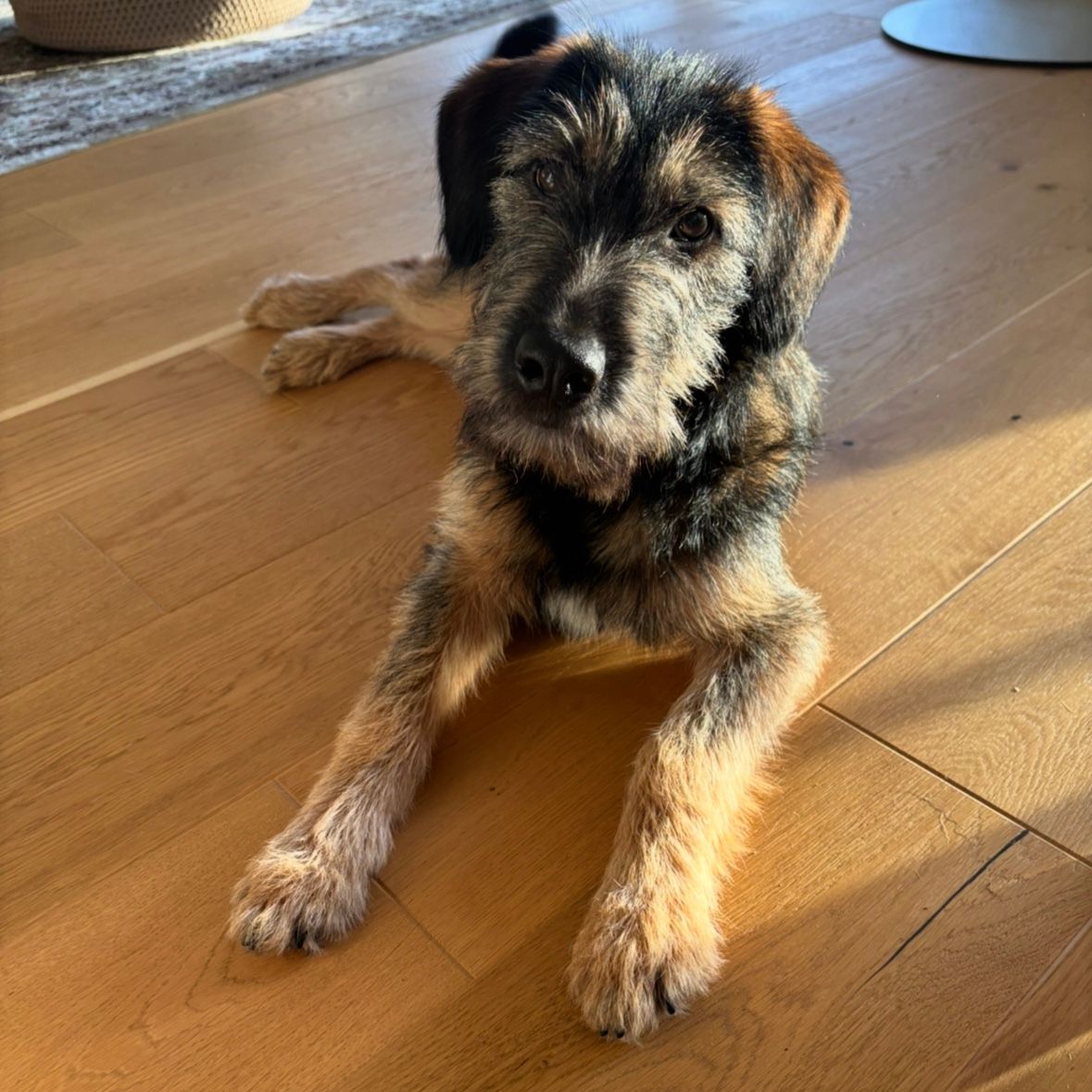 Ella