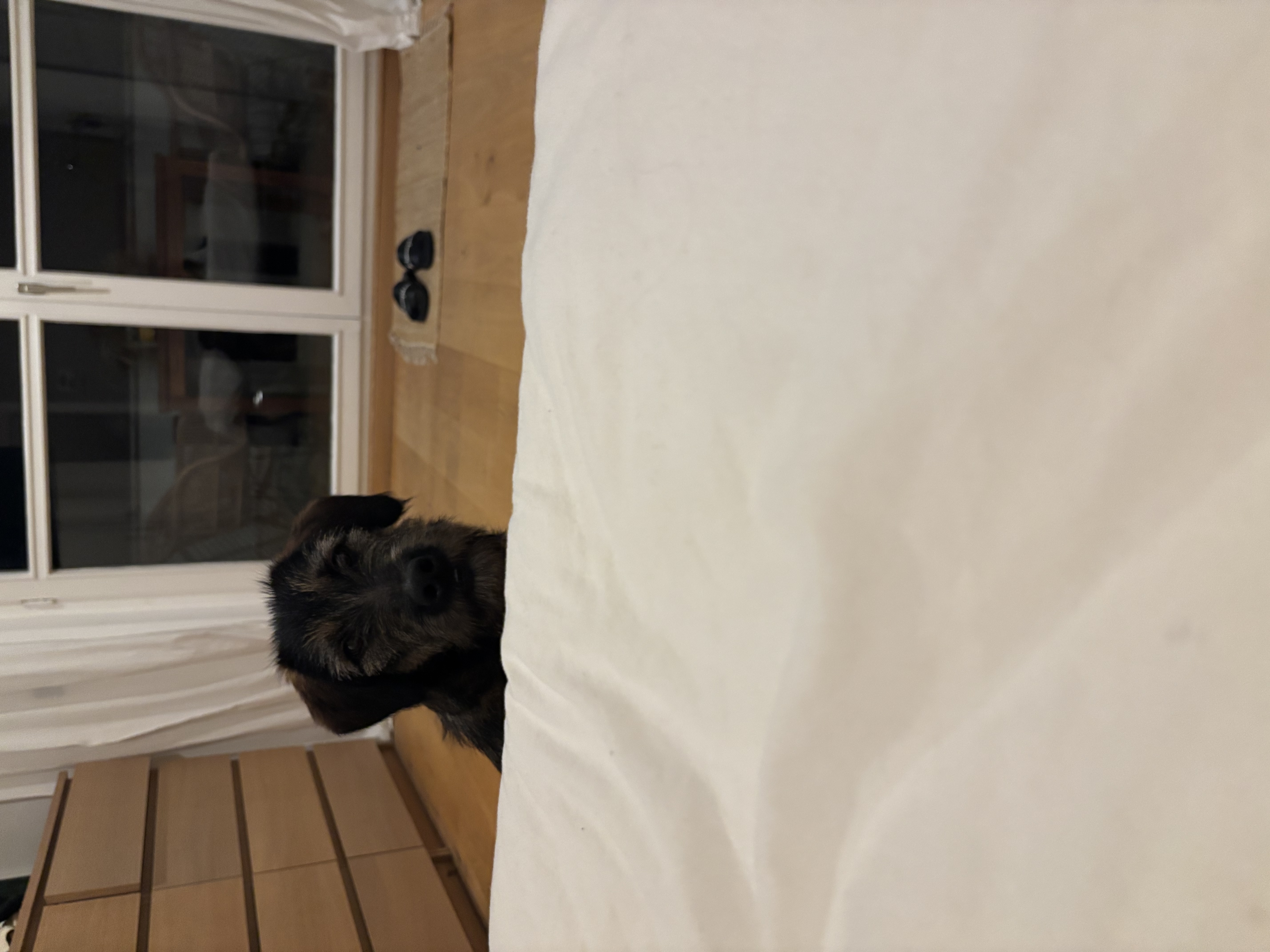 image-35