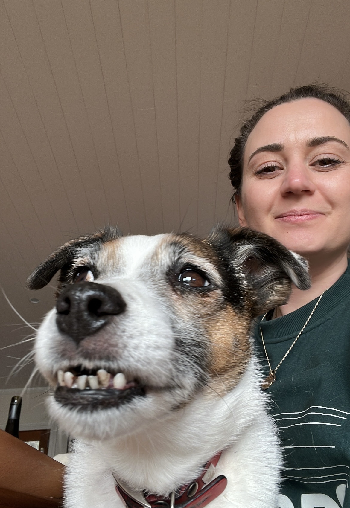 image-6