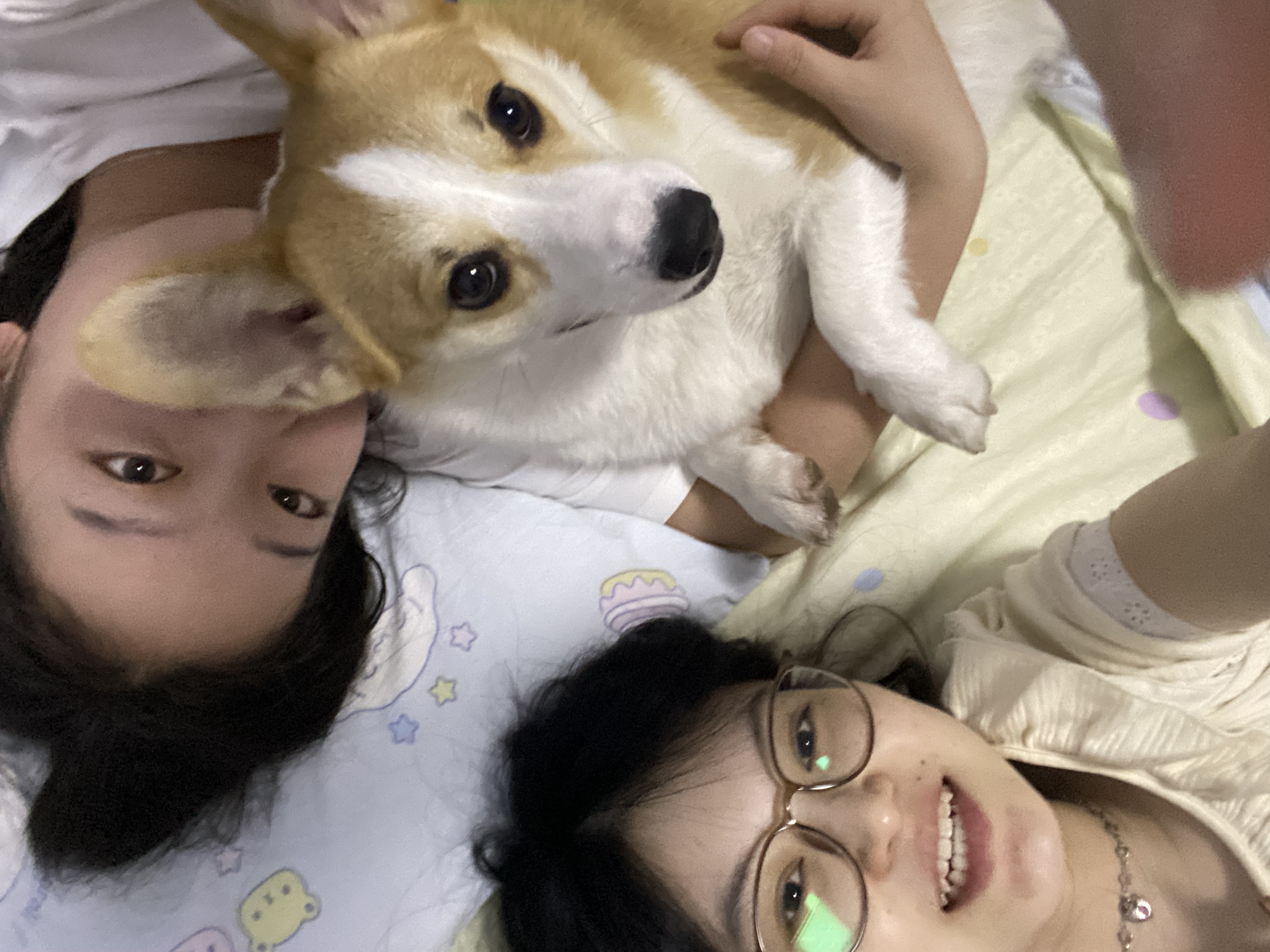image-3
