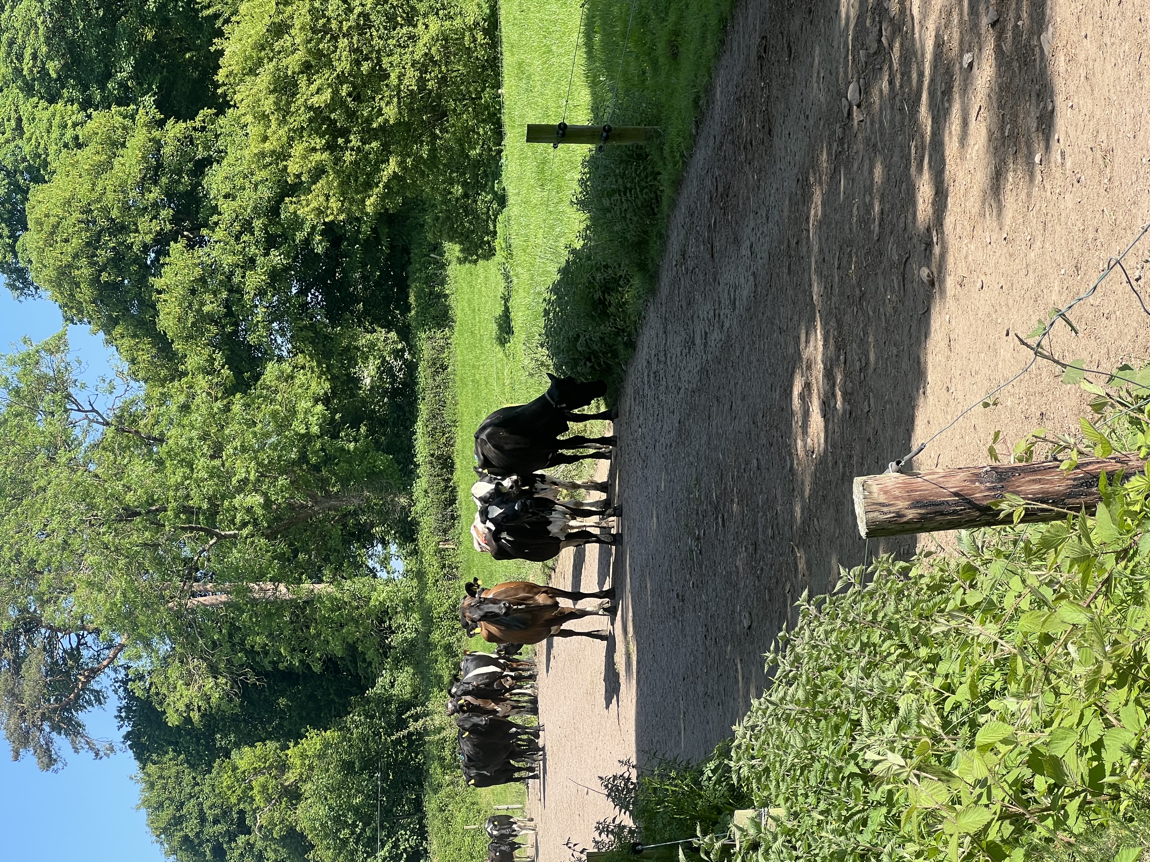 image-18