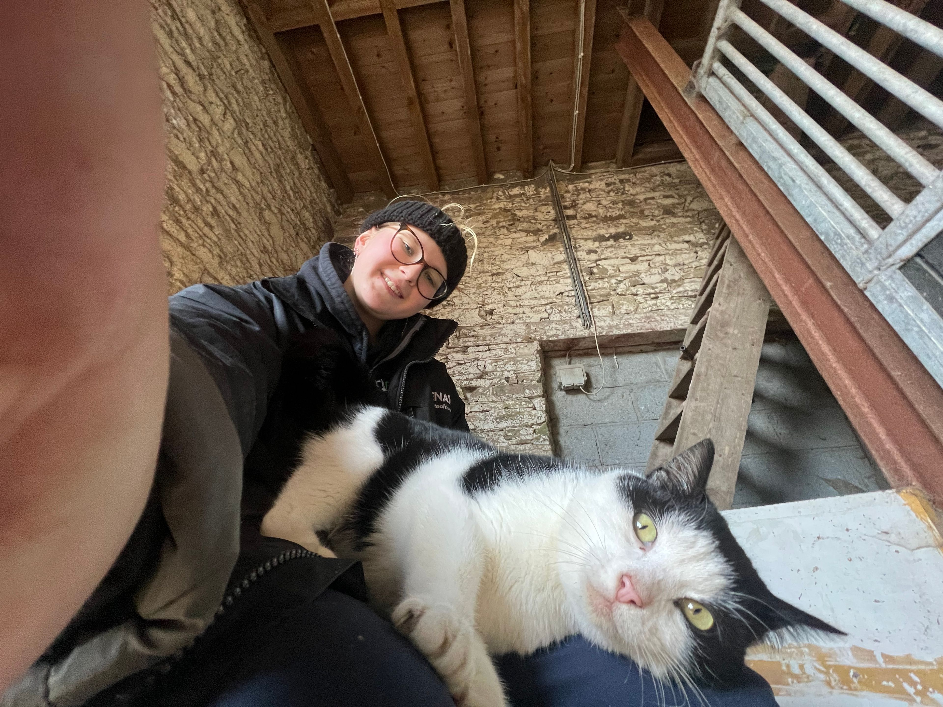 image-15