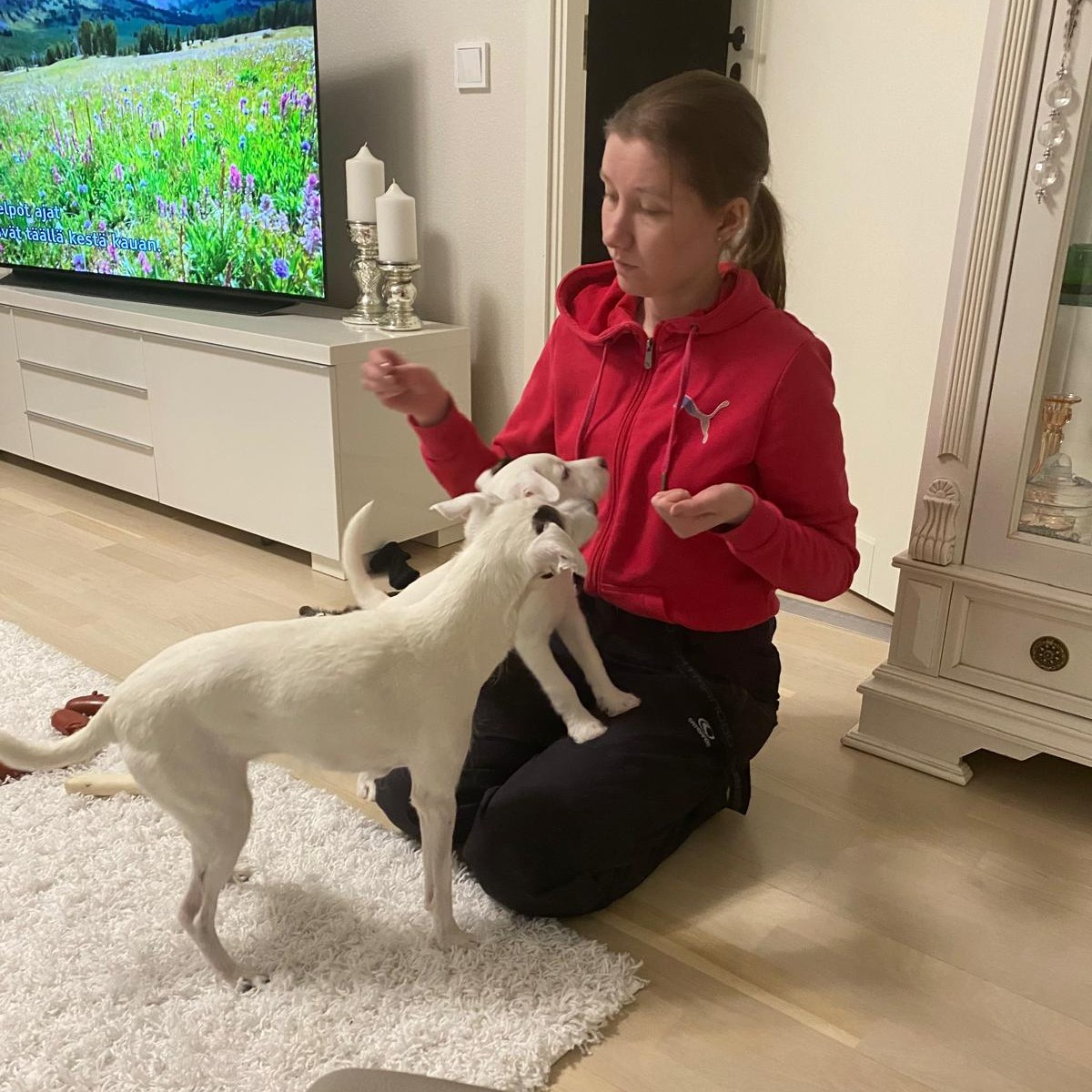 Emmi
