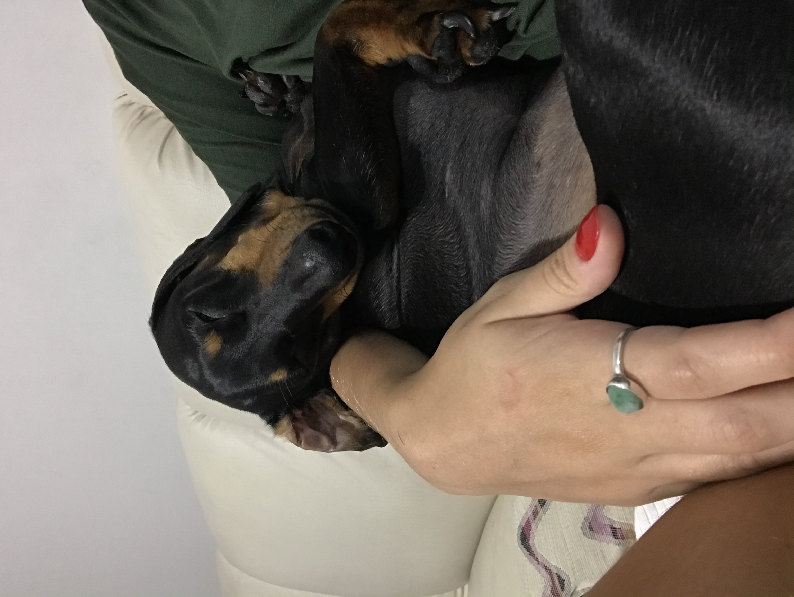 image-7