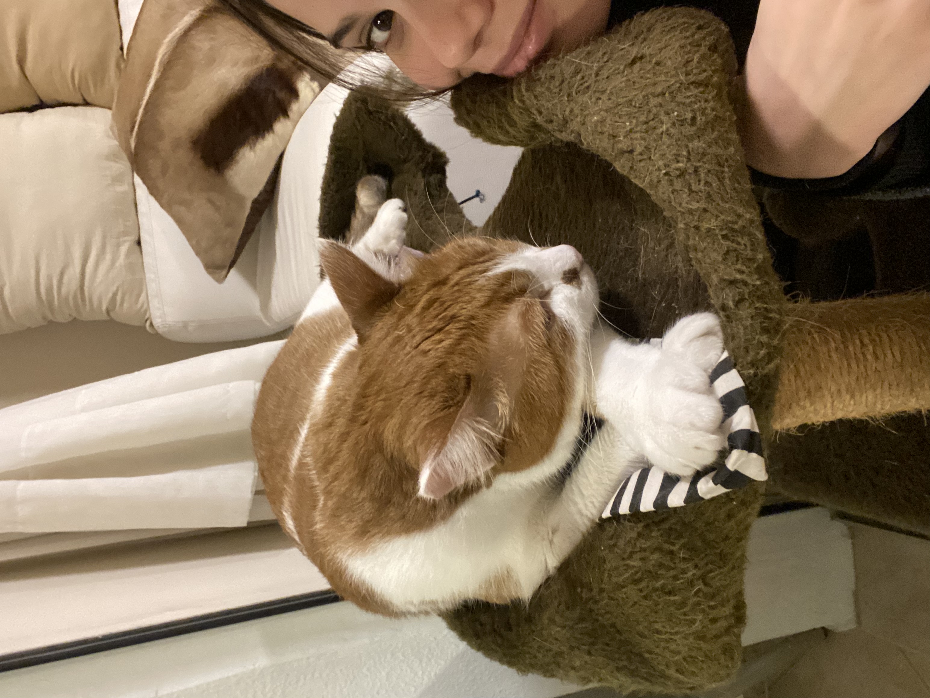 image-5