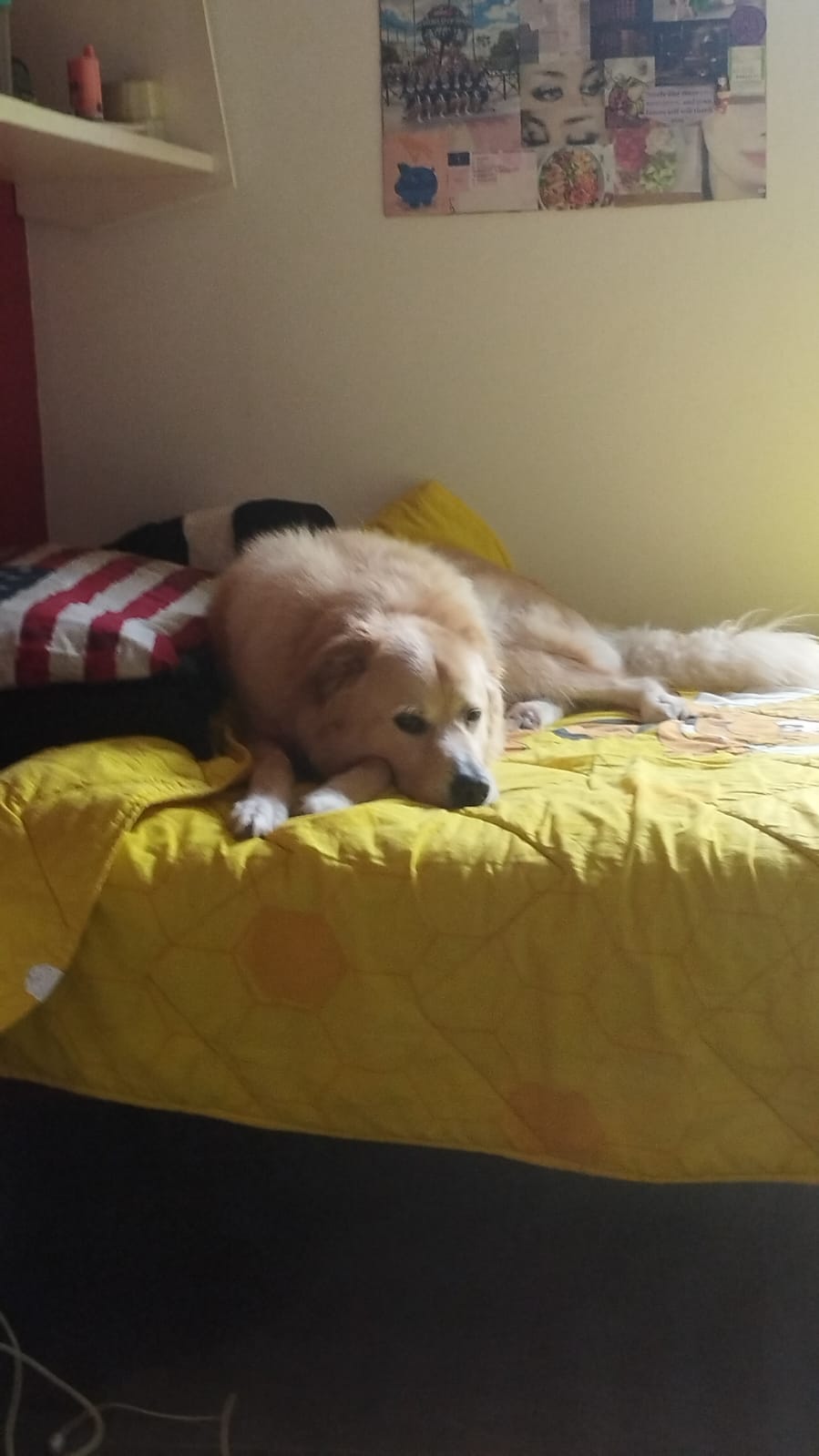 image-5