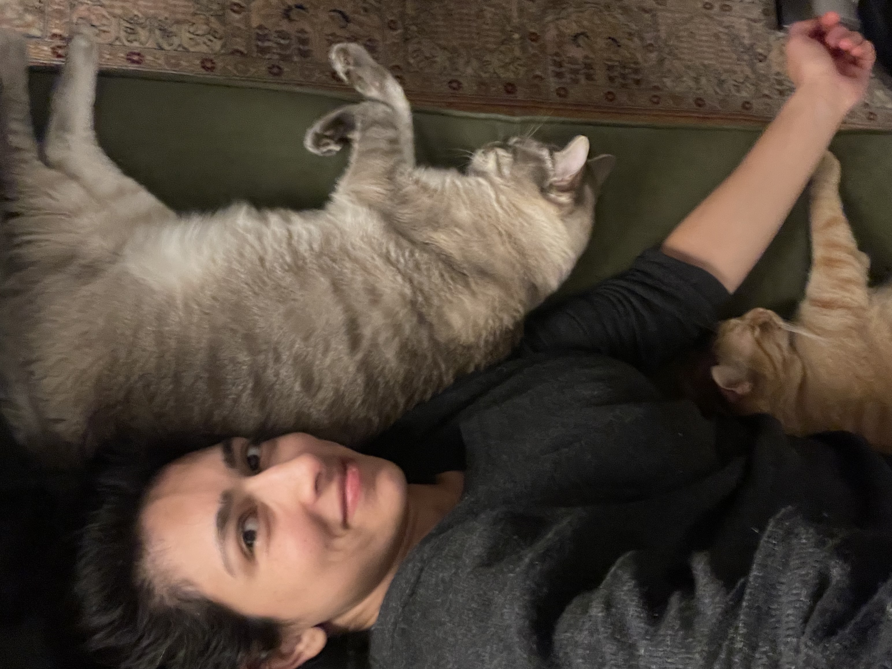 image-6