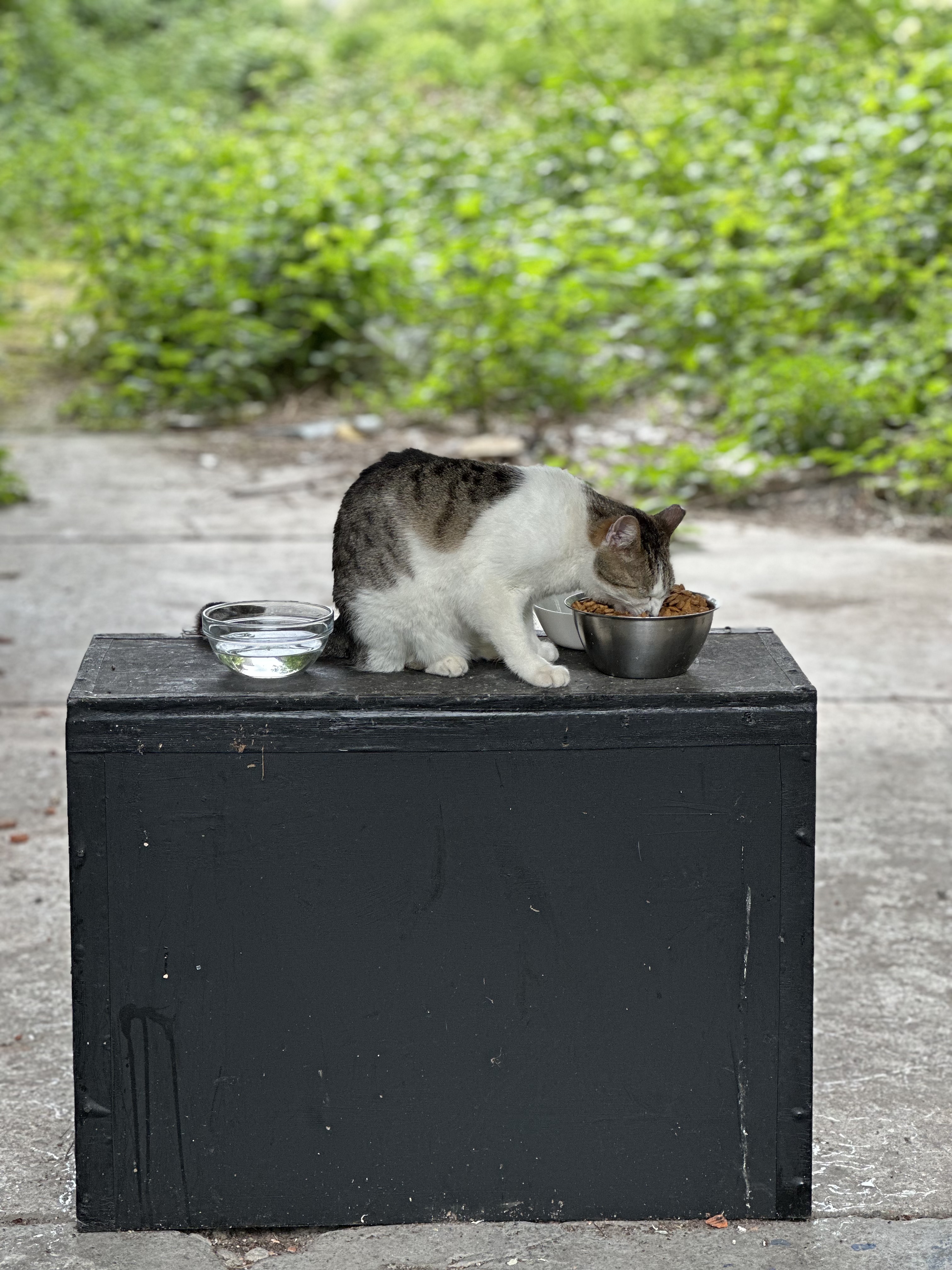 image-11