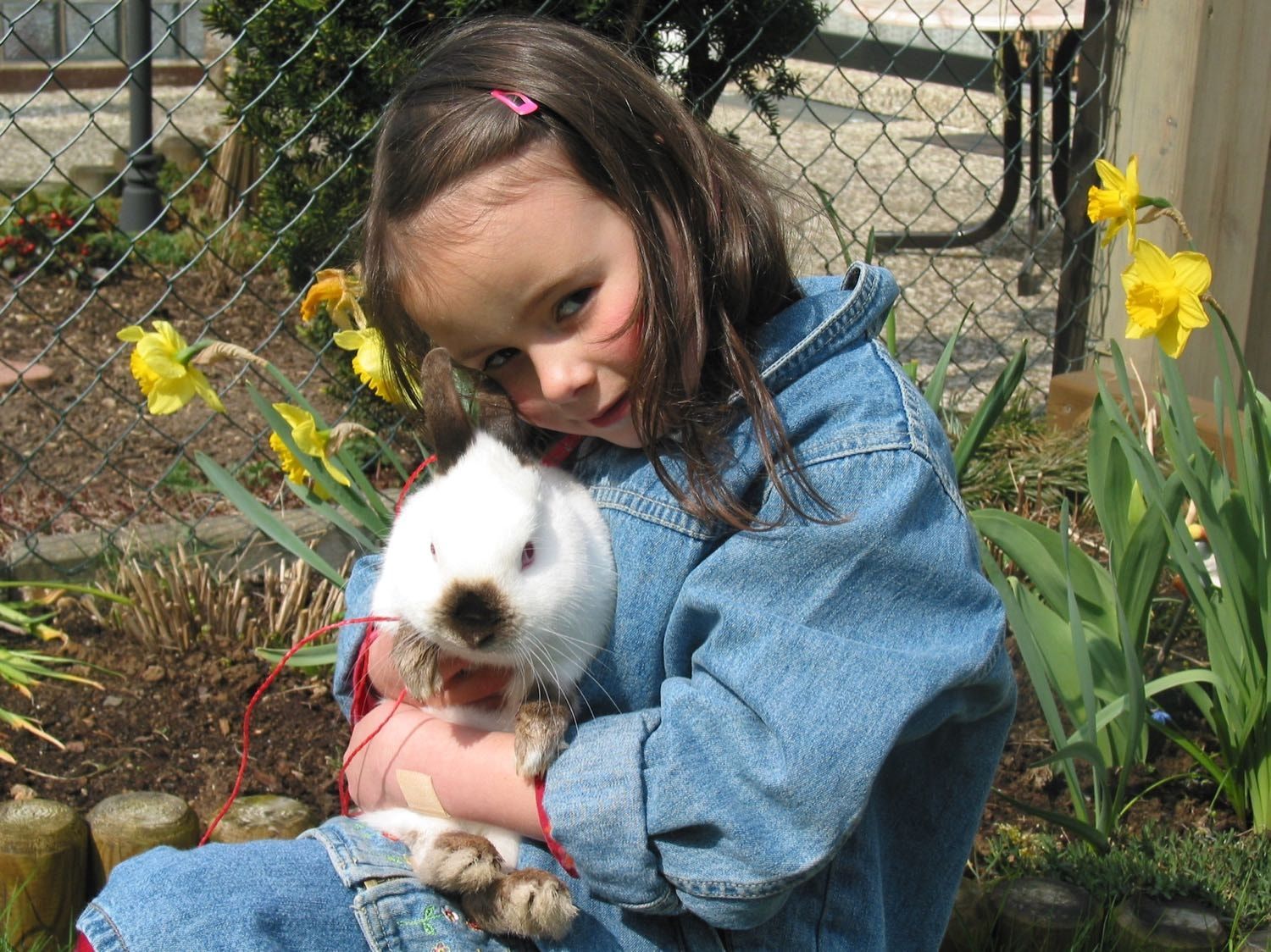 image-8