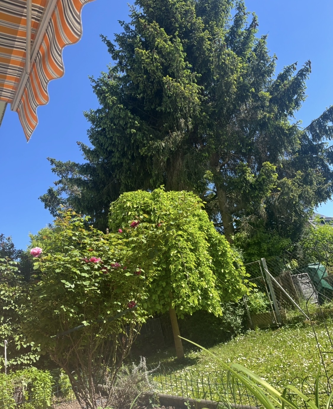 image-14