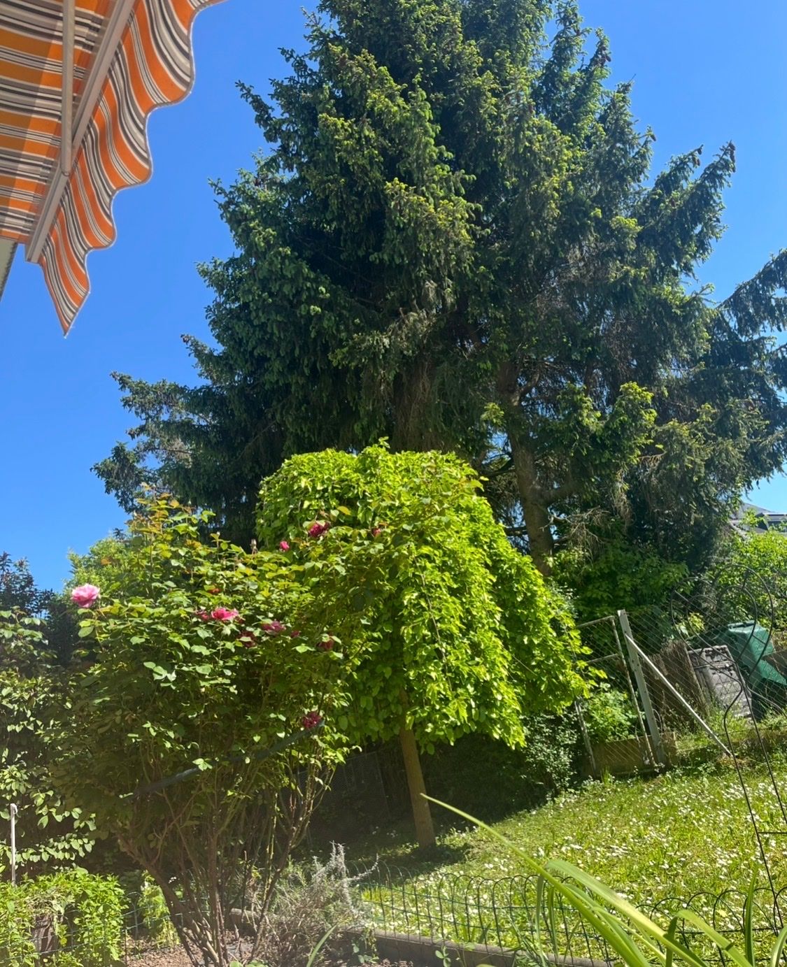 image-14