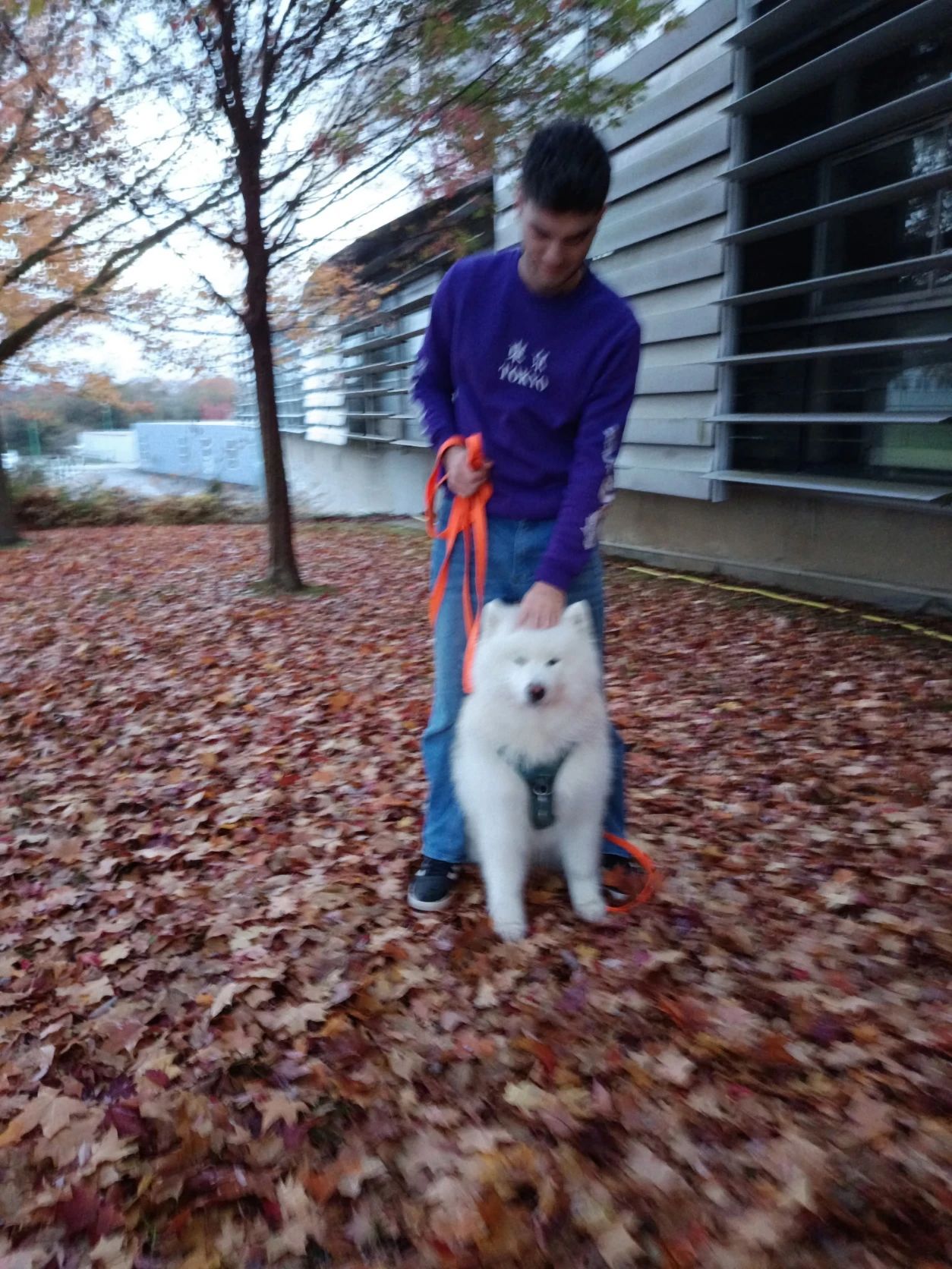image-4