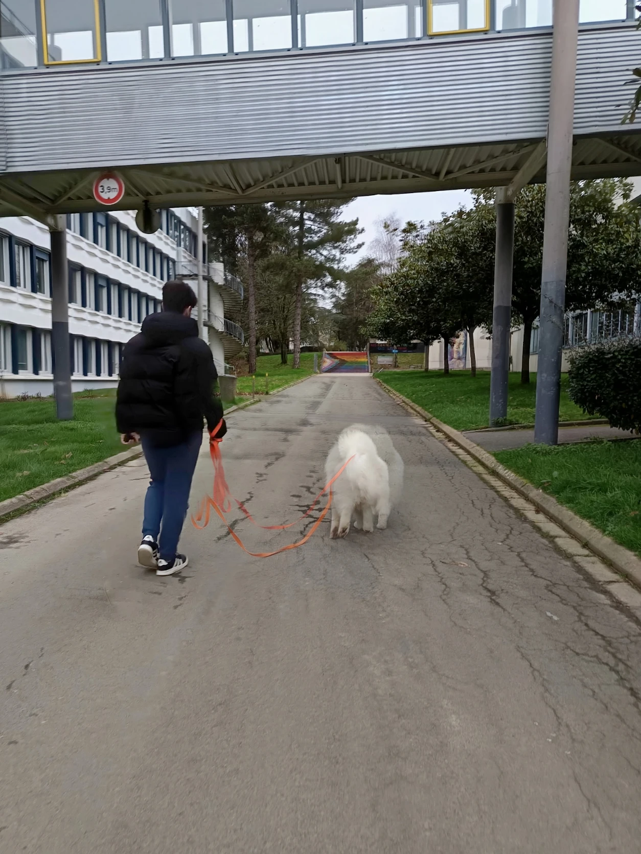 image-9
