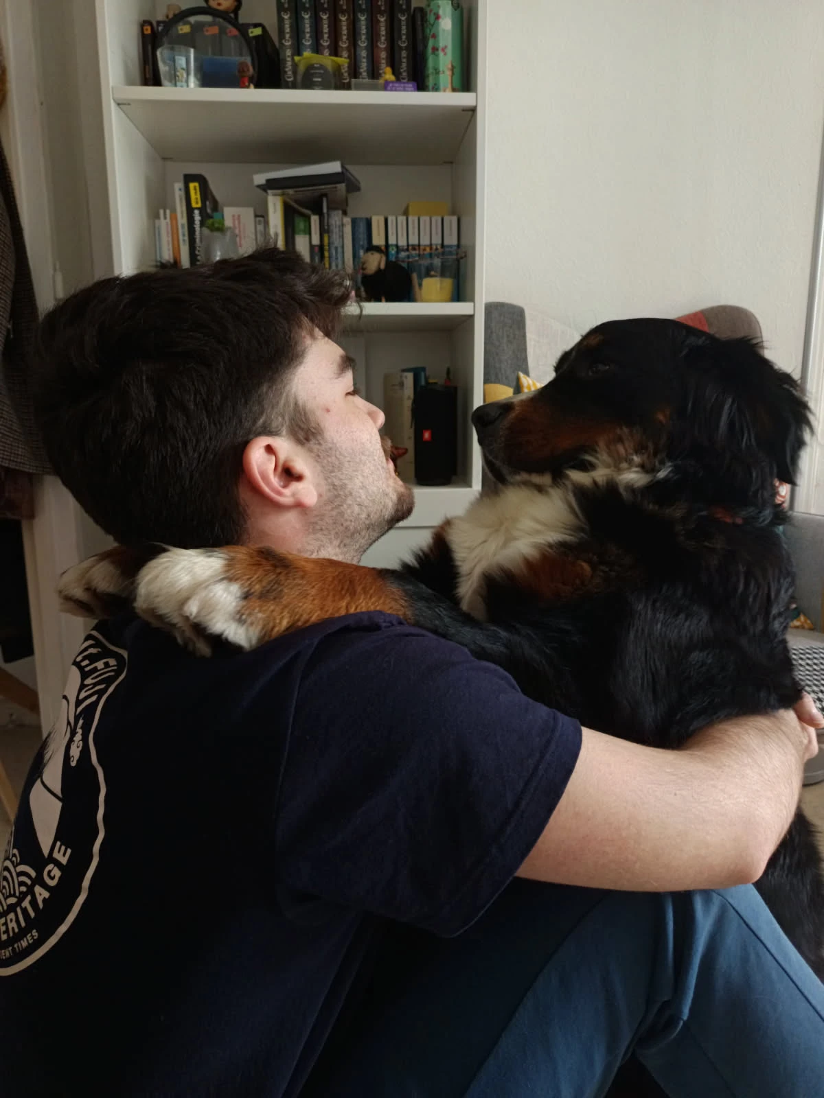 image-8