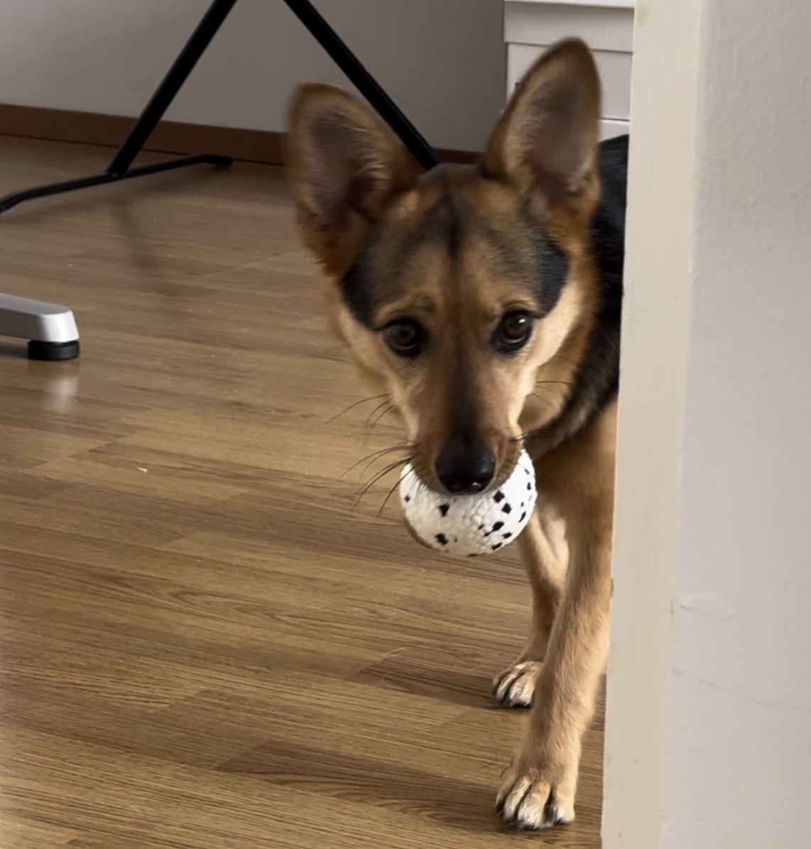 image-16