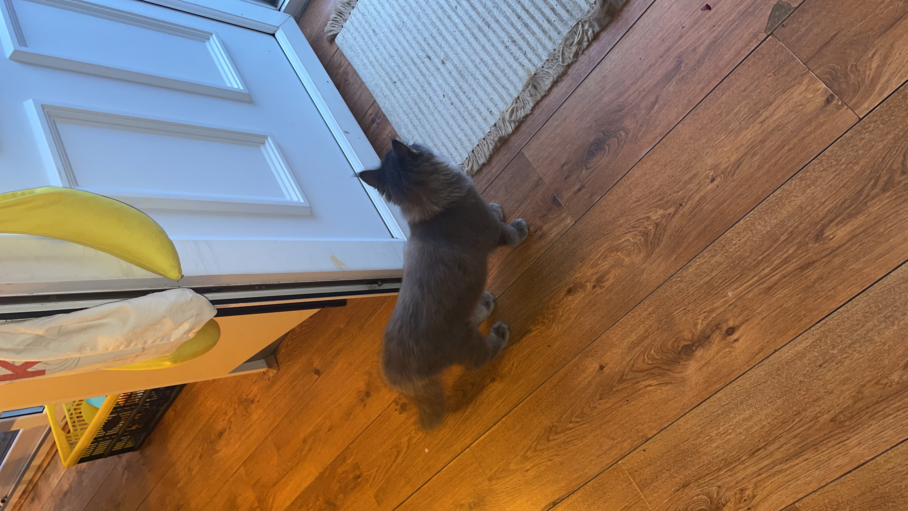 image-6