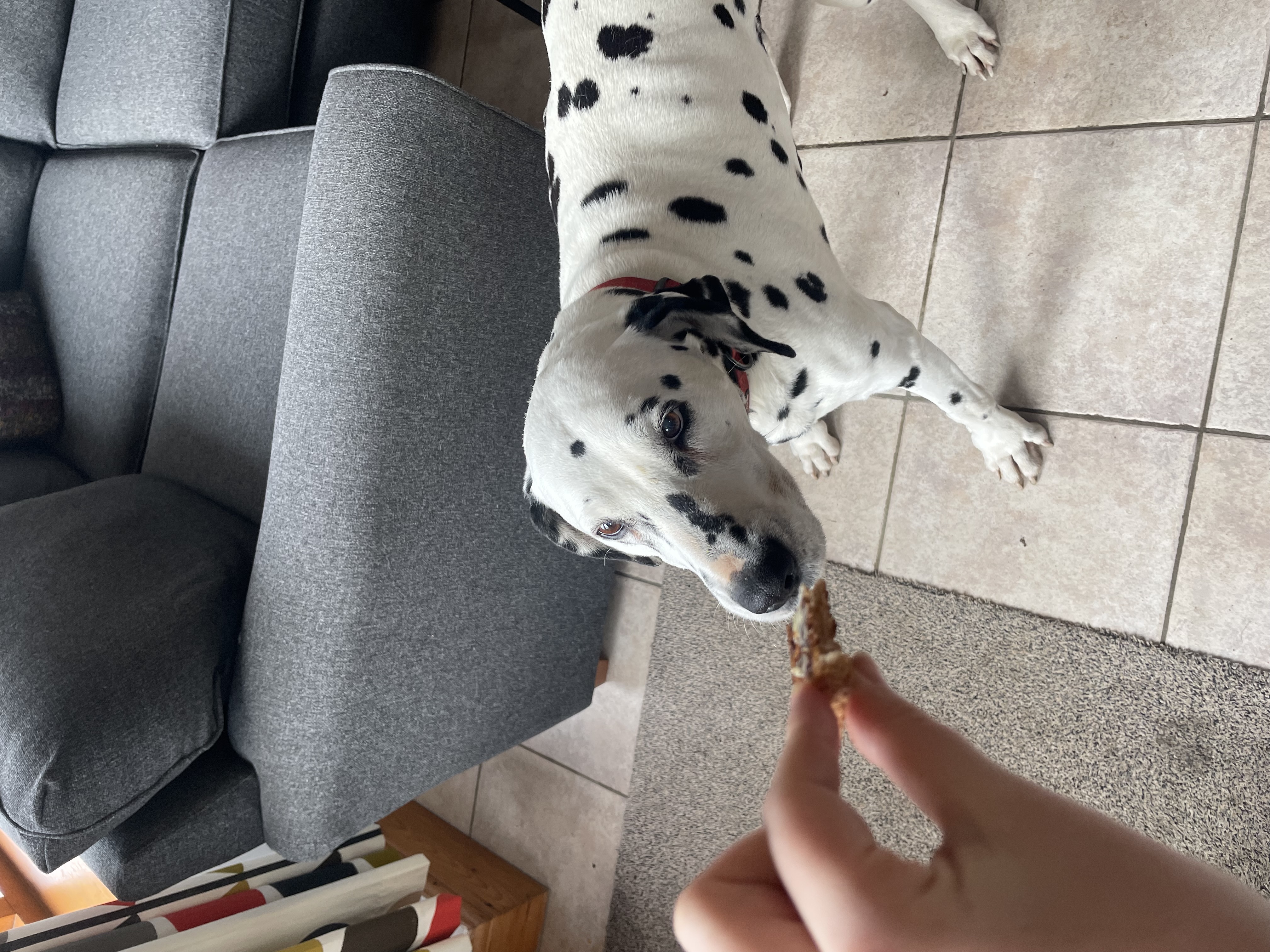 image-8
