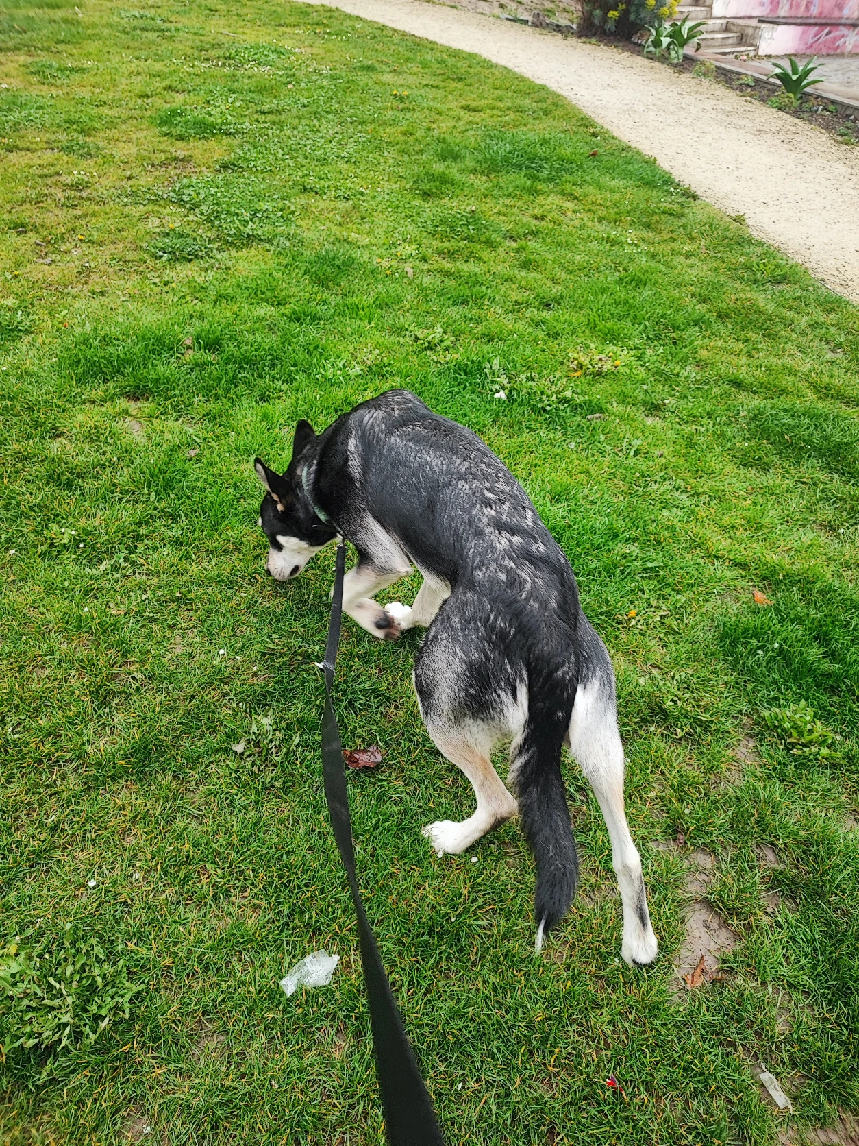image-9