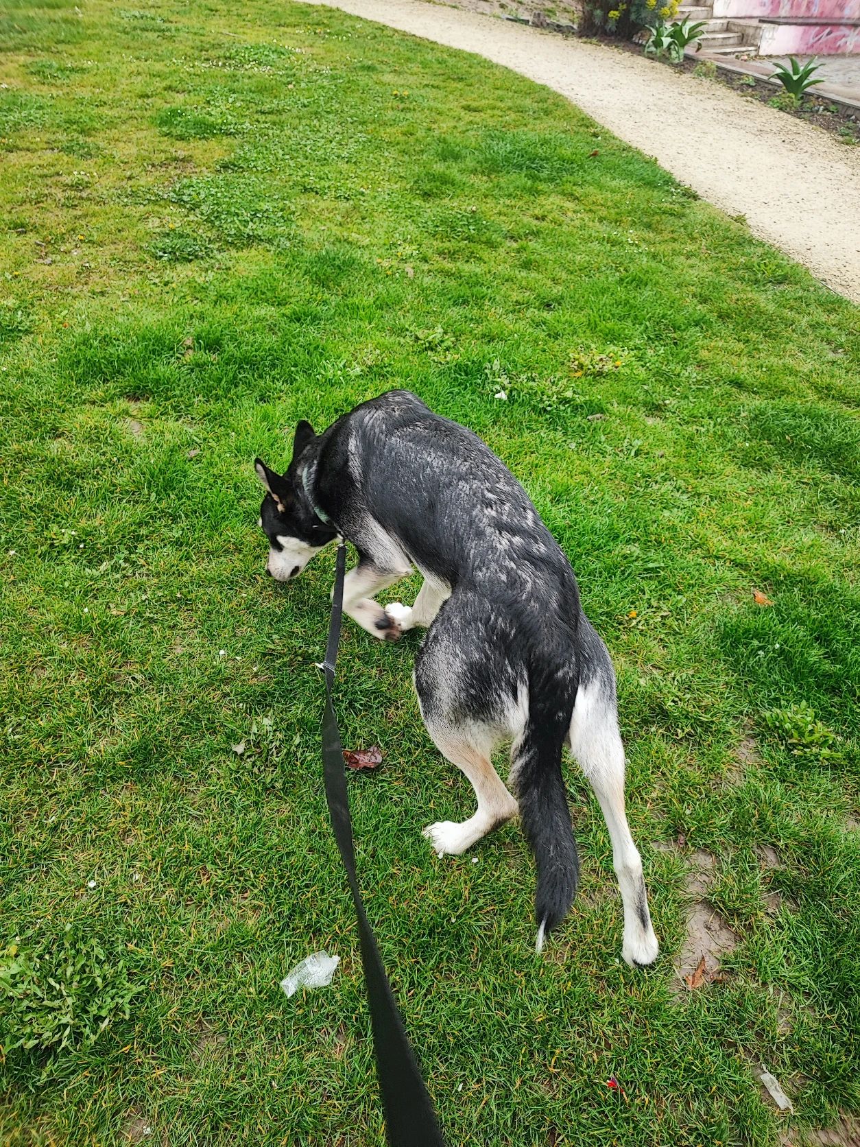 image-9